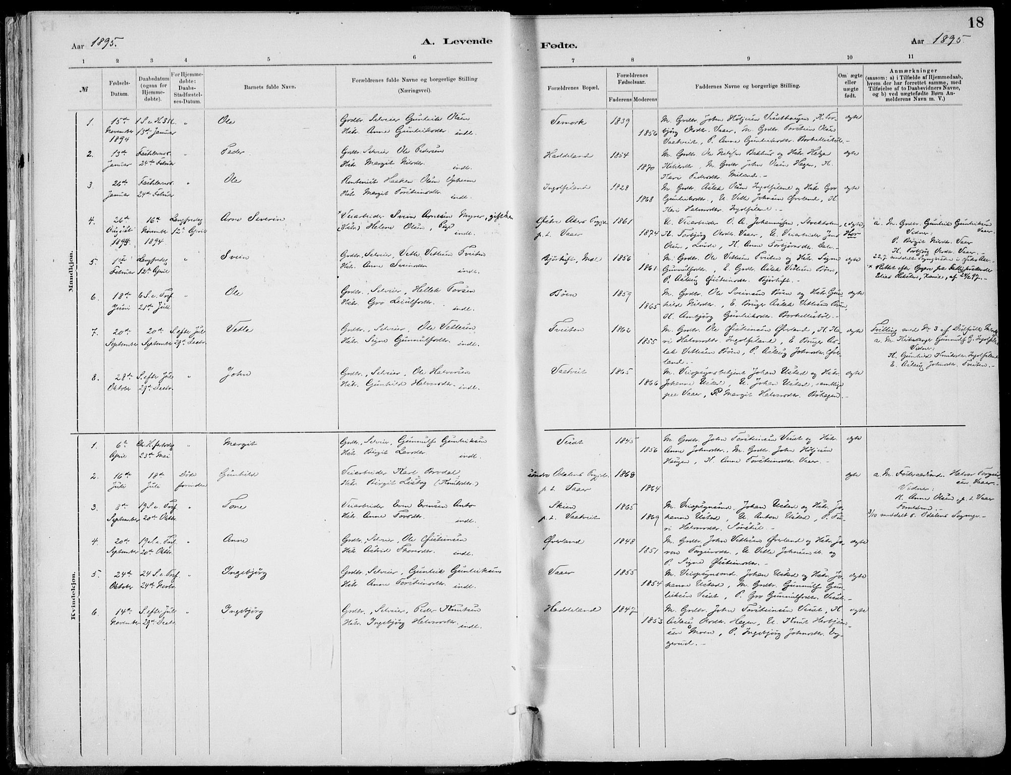 Rjukan kirkebøker, SAKO/A-294/F/Fa/L0001: Parish register (official) no. 1, 1878-1912, p. 18
