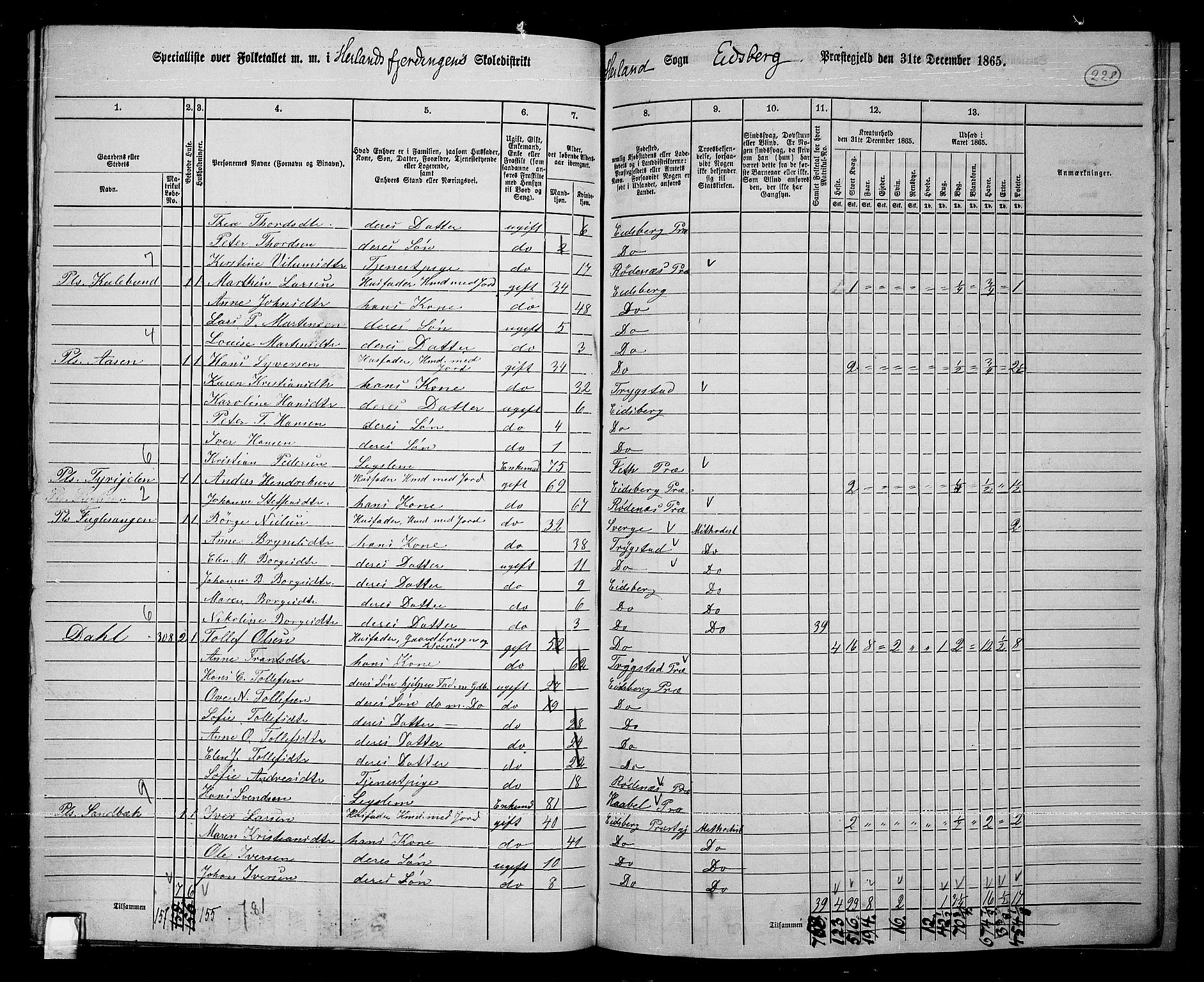 RA, 1865 census for Eidsberg, 1865, p. 207