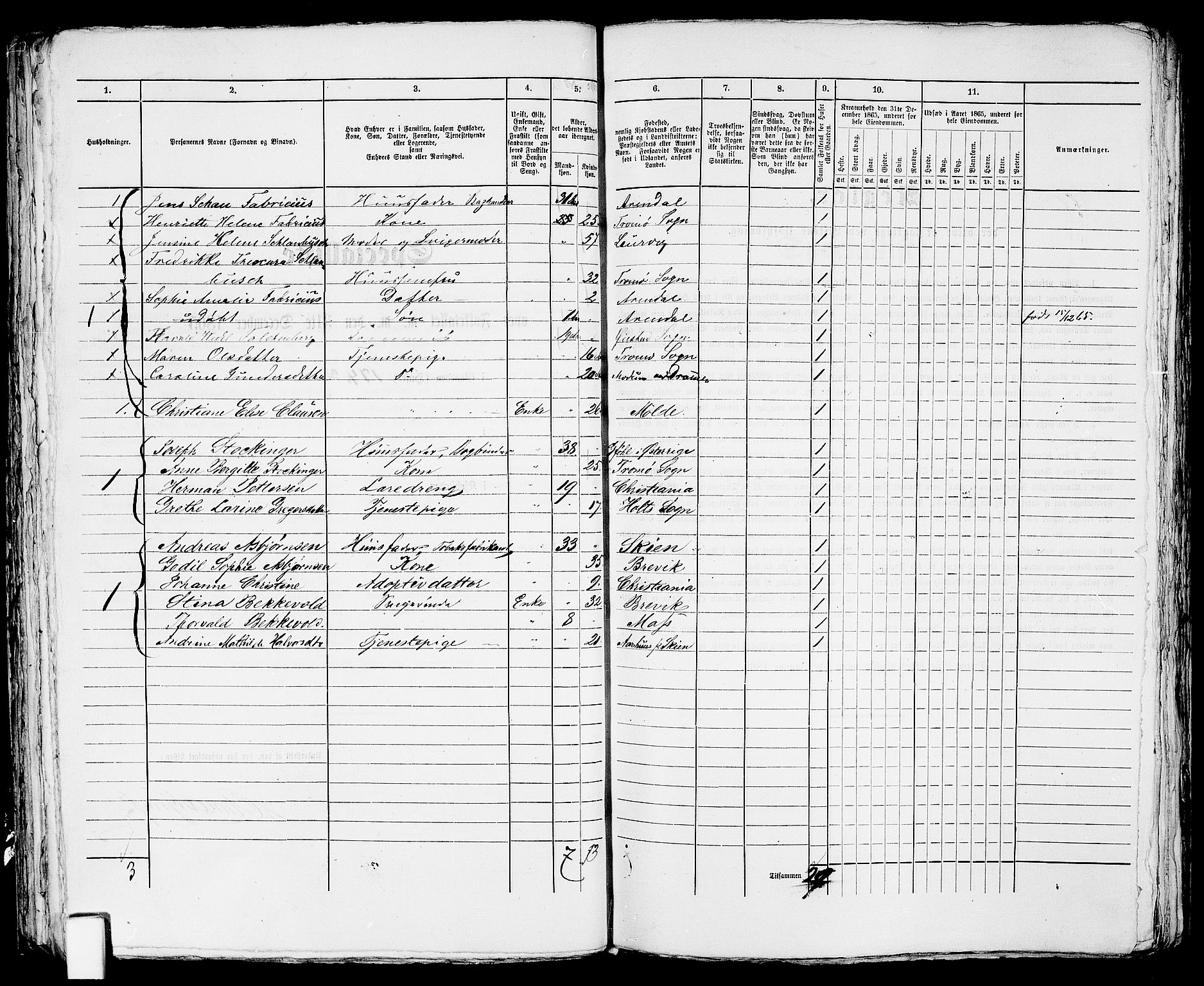 RA, 1865 census for Arendal, 1865, p. 413