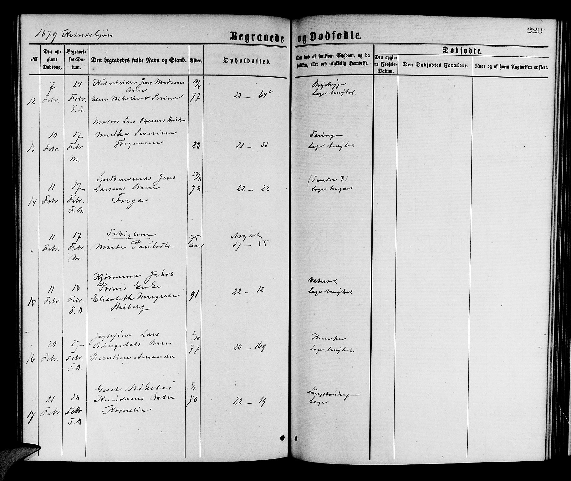 Korskirken sokneprestembete, AV/SAB-A-76101/H/Hab: Parish register (copy) no. E 3, 1871-1883, p. 220