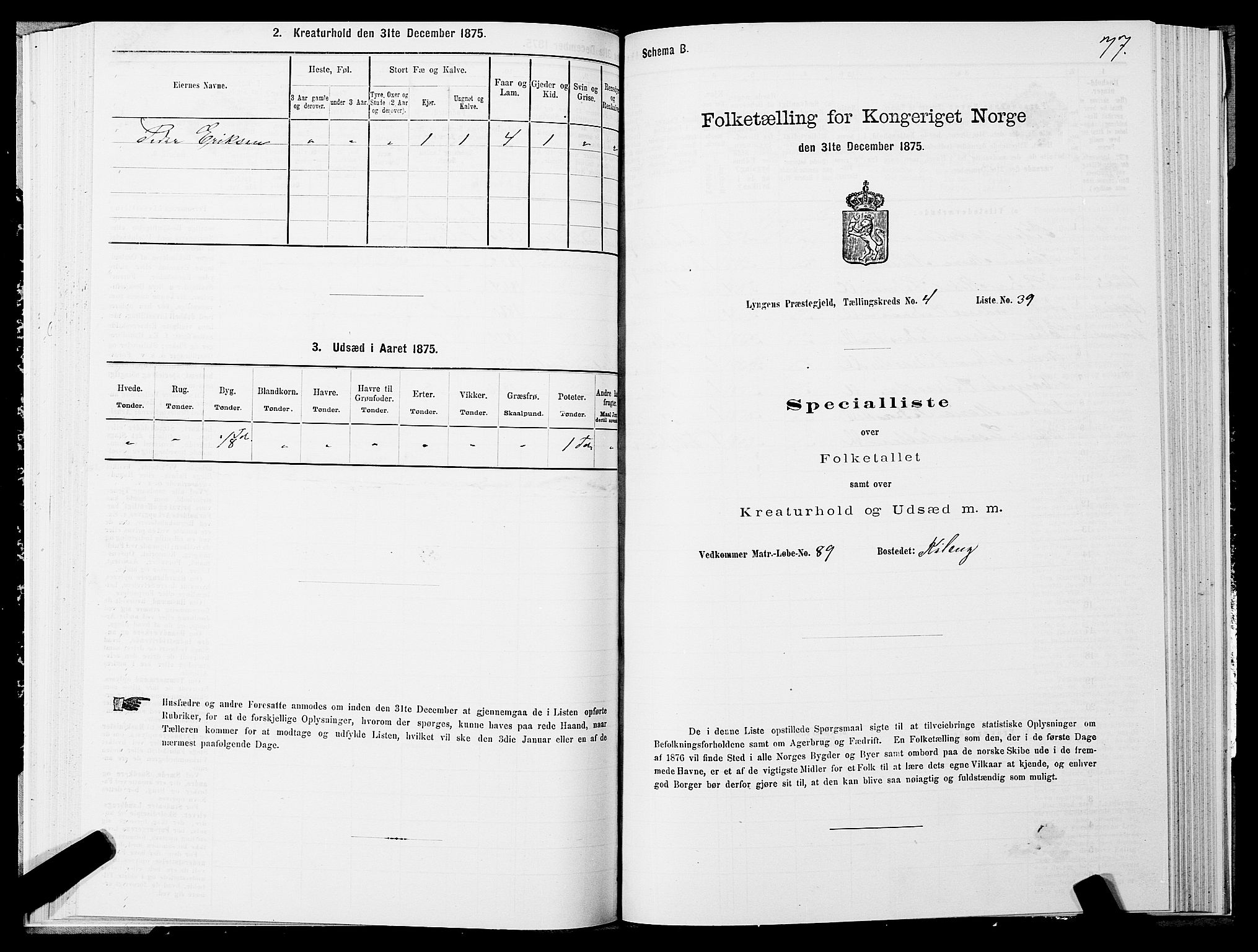 SATØ, 1875 census for 1938P Lyngen, 1875, p. 4077