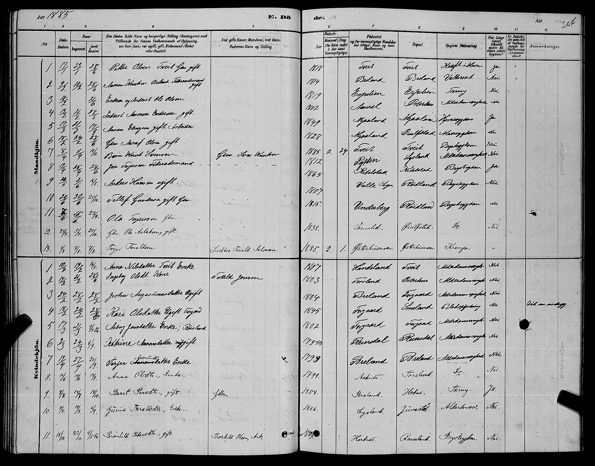 Åseral sokneprestkontor, SAK/1111-0051/F/Fb/L0002: Parish register (copy) no. B 2, 1878-1899, p. 204