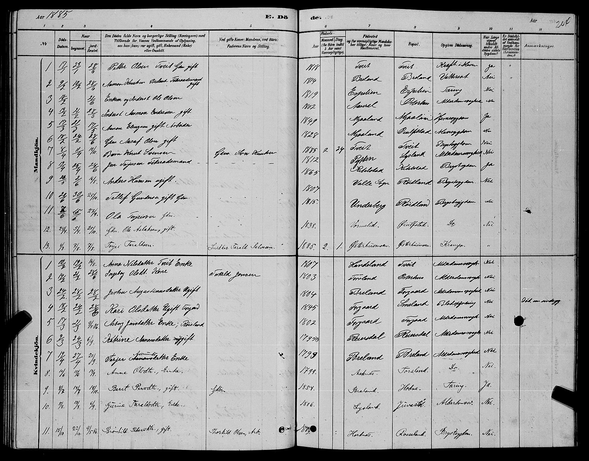 Åseral sokneprestkontor, AV/SAK-1111-0051/F/Fb/L0002: Parish register (copy) no. B 2, 1878-1899, p. 204