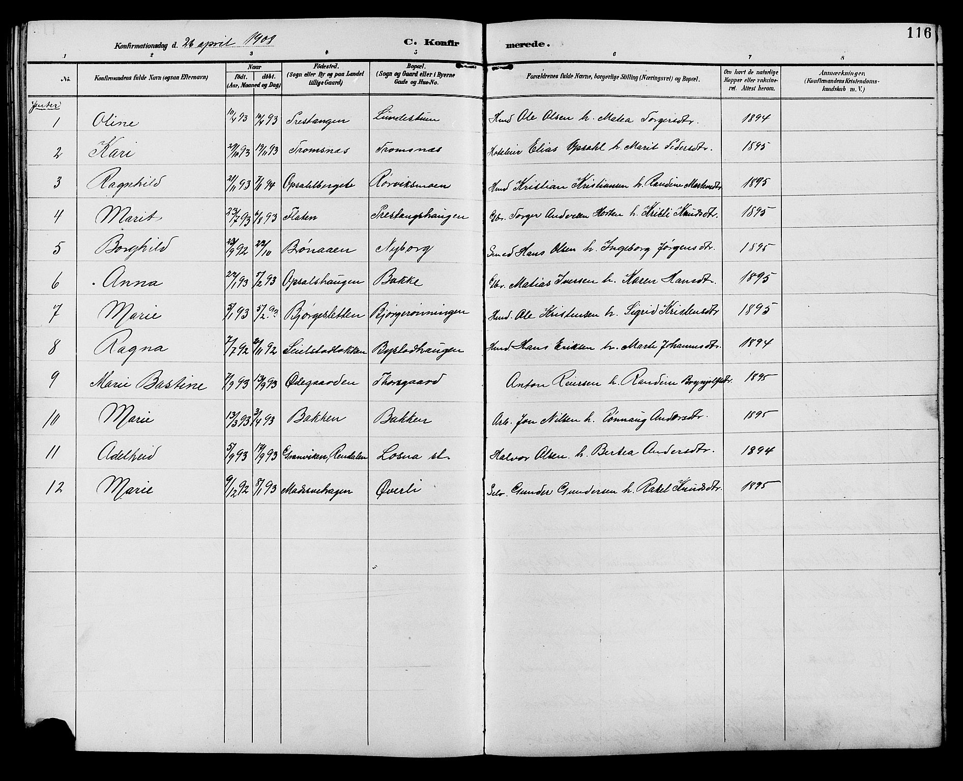 Ringebu prestekontor, SAH/PREST-082/H/Ha/Hab/L0007: Parish register (copy) no. 7, 1890-1910, p. 116