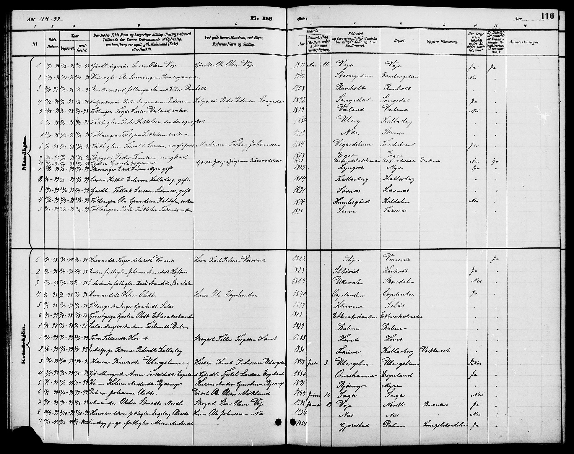 Gjerstad sokneprestkontor, SAK/1111-0014/F/Fb/Fbb/L0004: Parish register (copy) no. B 4, 1890-1910, p. 116