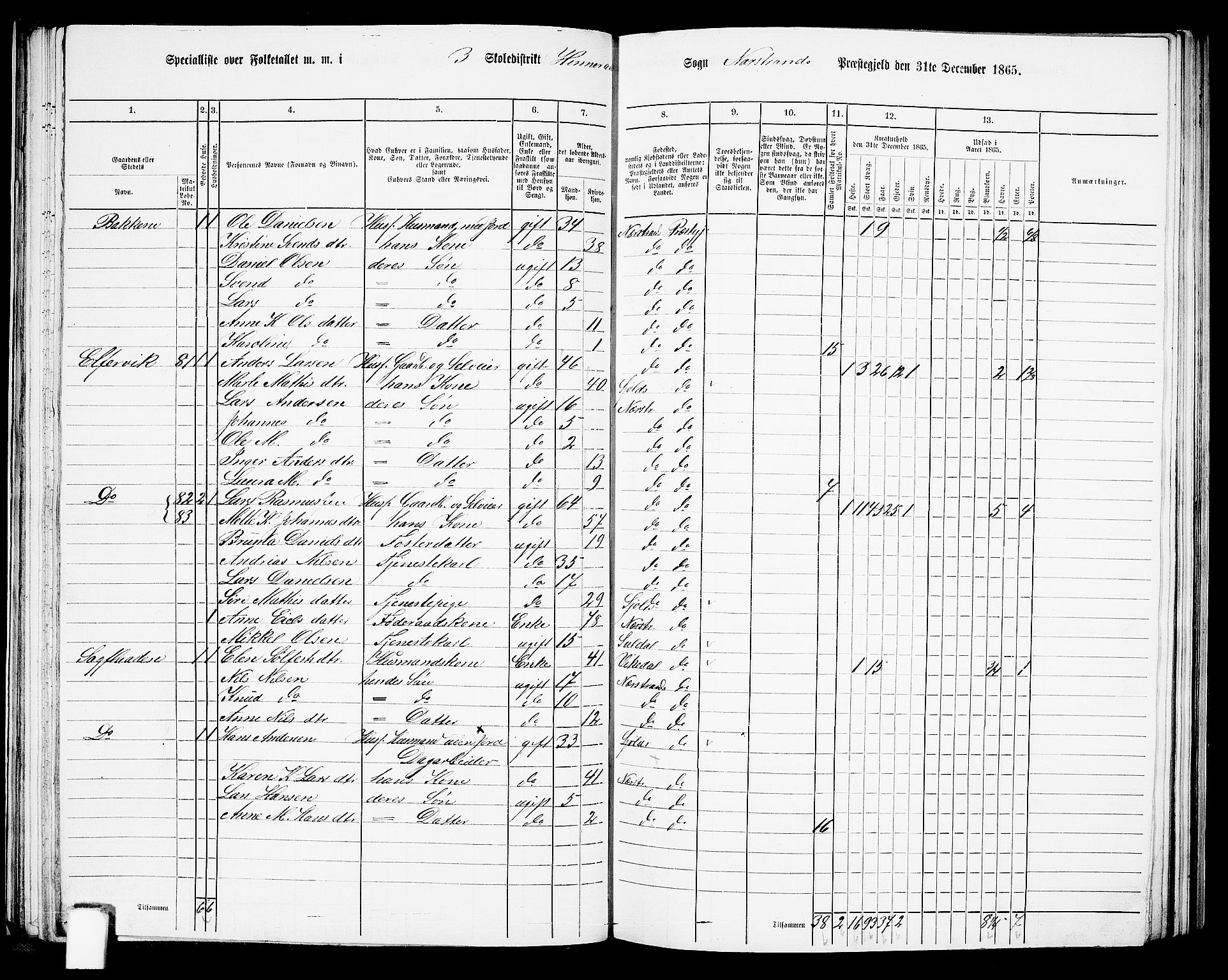 RA, 1865 census for Nedstrand, 1865, p. 51