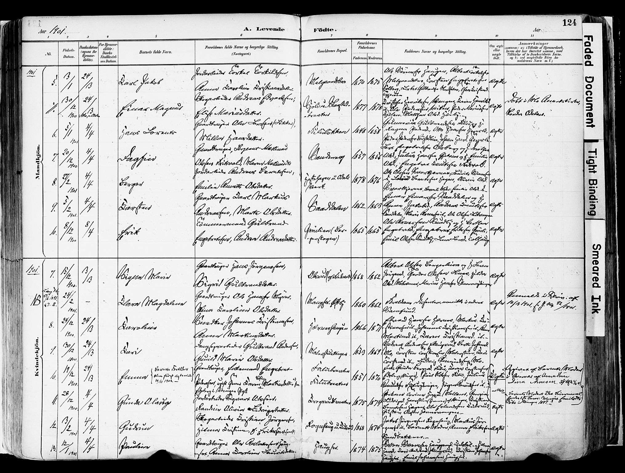 Sør-Odal prestekontor, AV/SAH-PREST-030/H/Ha/Haa/L0006: Parish register (official) no. 6, 1886-1931, p. 124