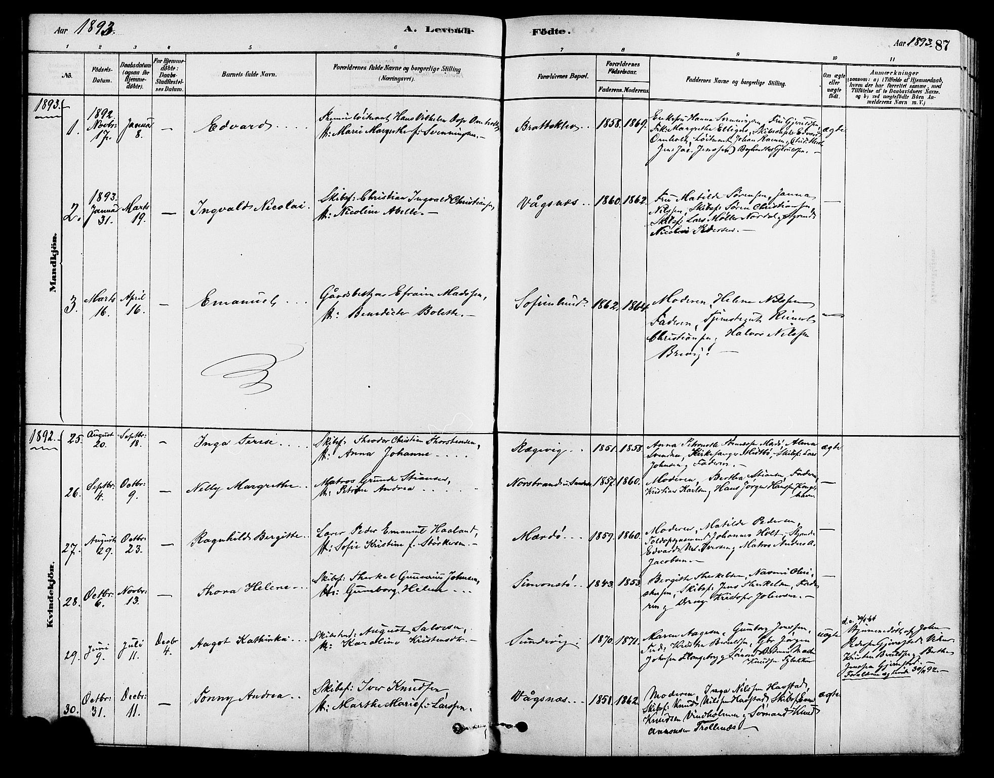 Tromøy sokneprestkontor, AV/SAK-1111-0041/F/Fa/L0009: Parish register (official) no. A 9, 1878-1896, p. 87