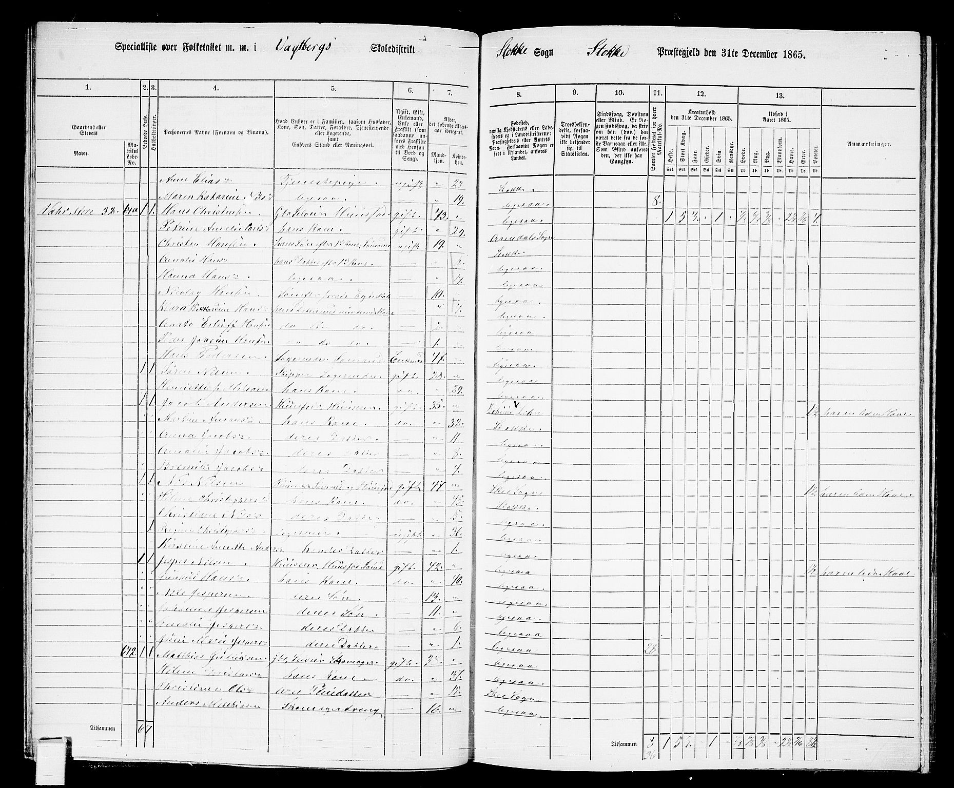 RA, 1865 census for Stokke, 1865, p. 61