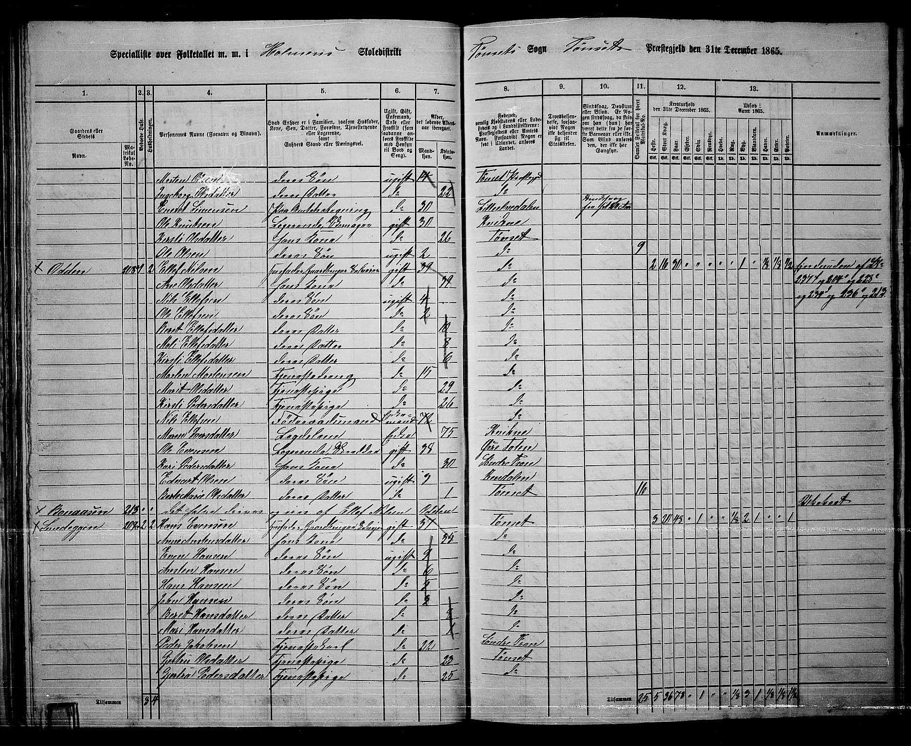 RA, 1865 census for Tynset, 1865, p. 44