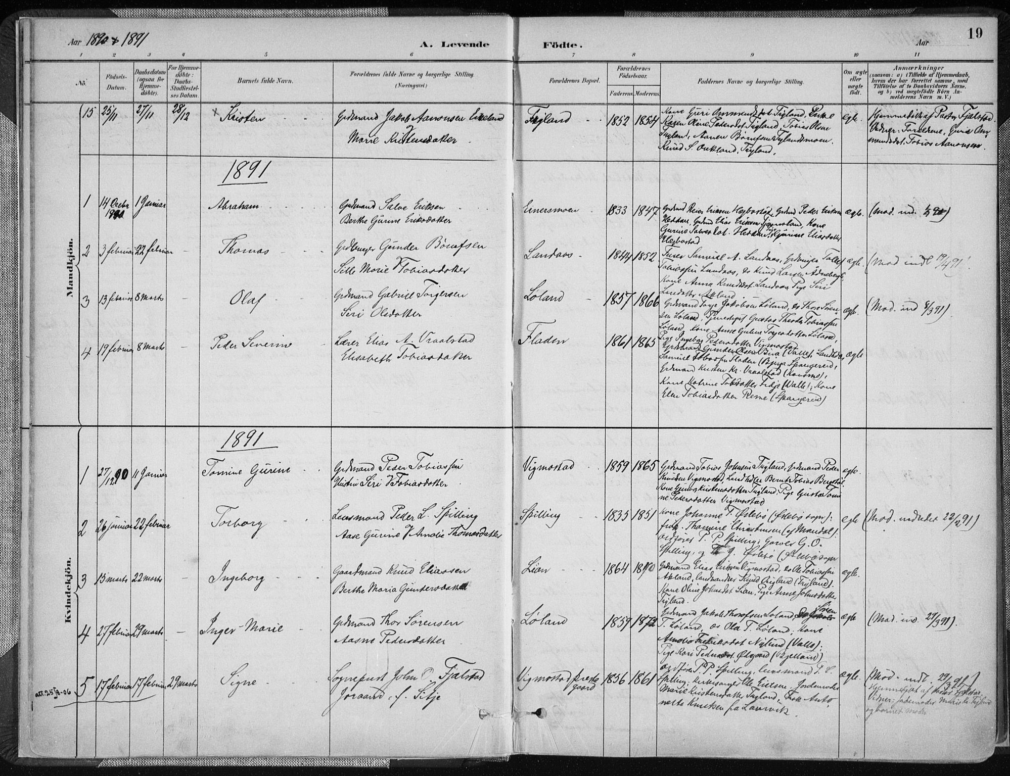Nord-Audnedal sokneprestkontor, SAK/1111-0032/F/Fa/Fab/L0003: Parish register (official) no. A 3, 1882-1900, p. 19