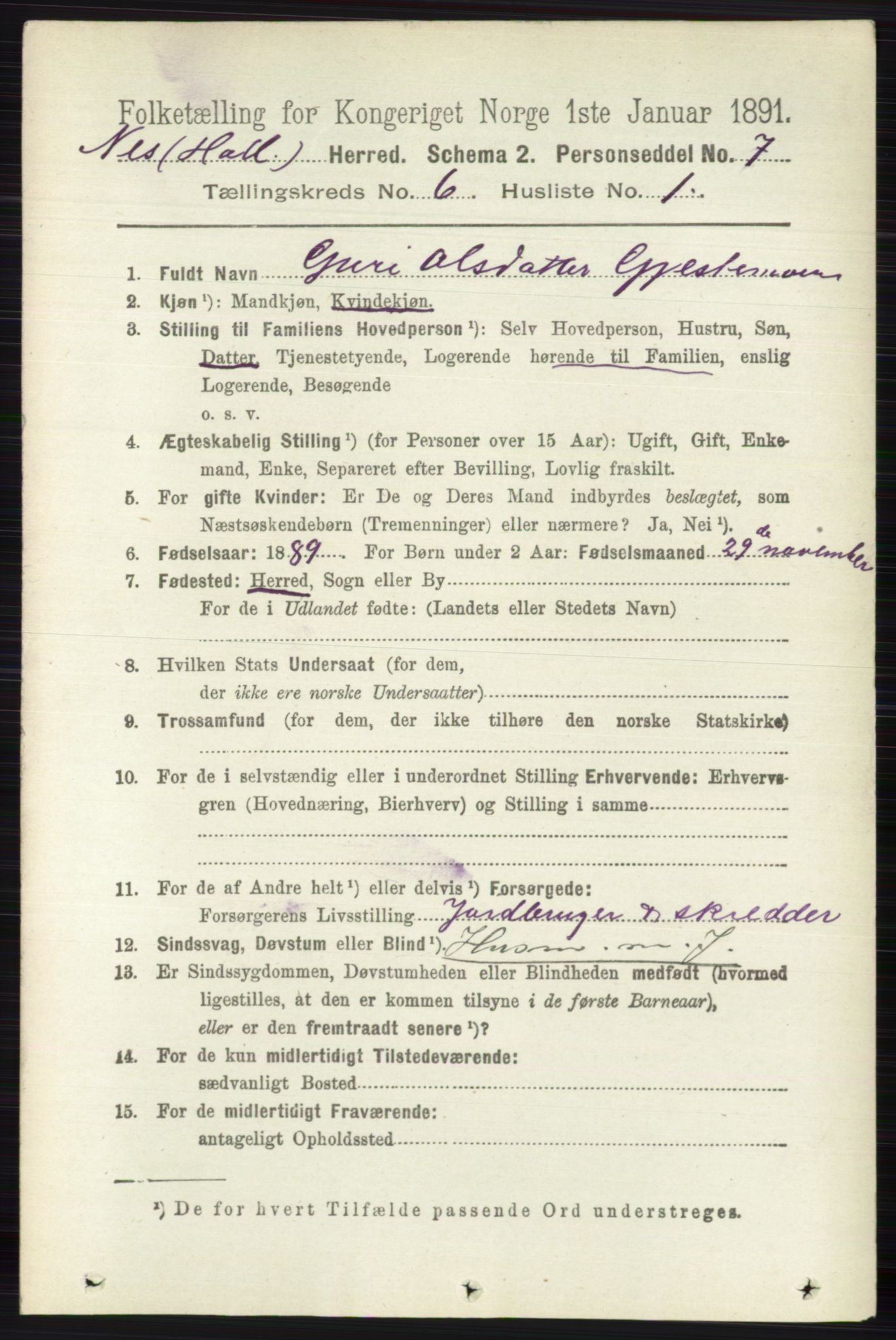 RA, 1891 census for 0616 Nes, 1891, p. 3050