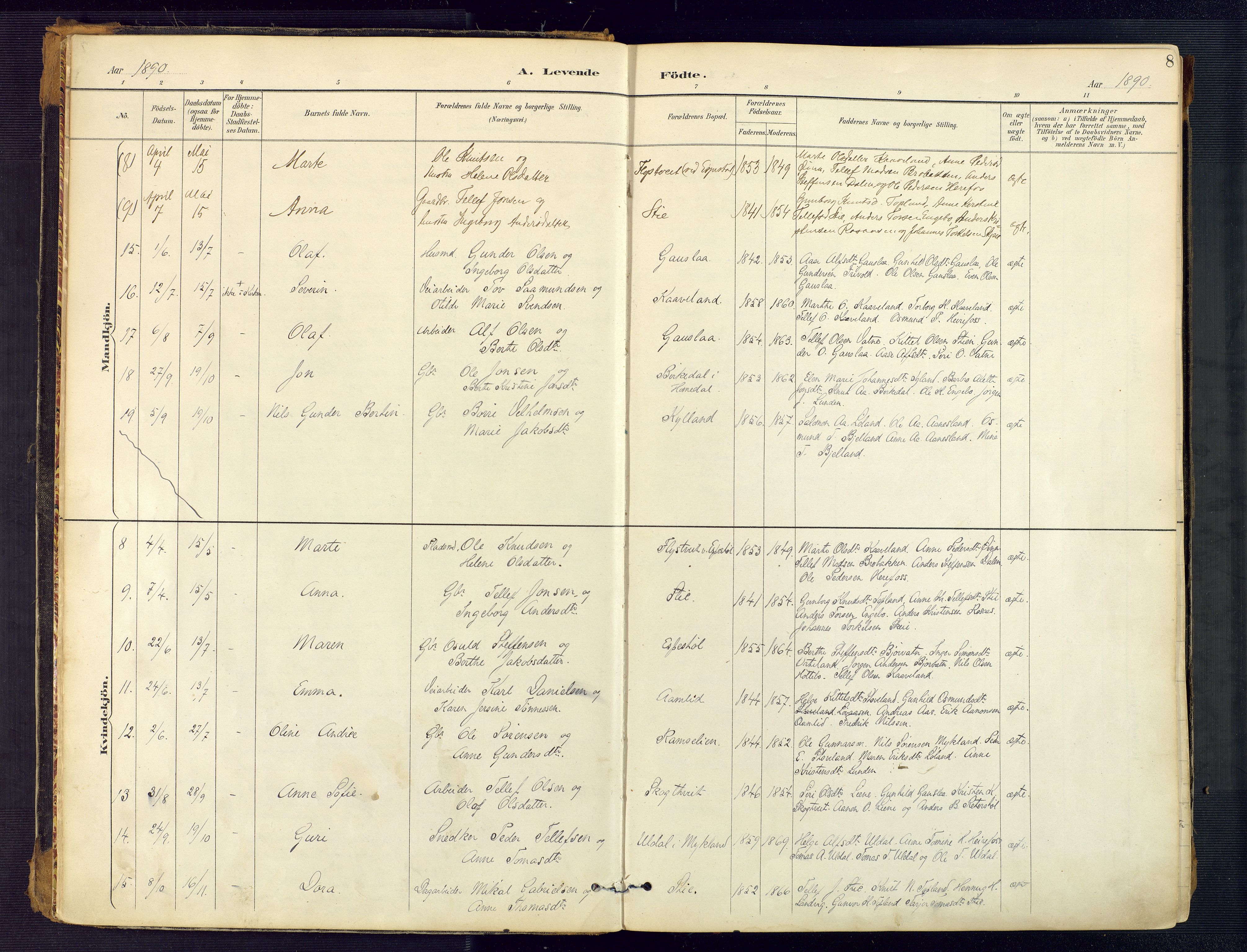 Herefoss sokneprestkontor, AV/SAK-1111-0019/F/Fa/Faa/L0003: Parish register (official) no. A 3, 1887-1930, p. 8