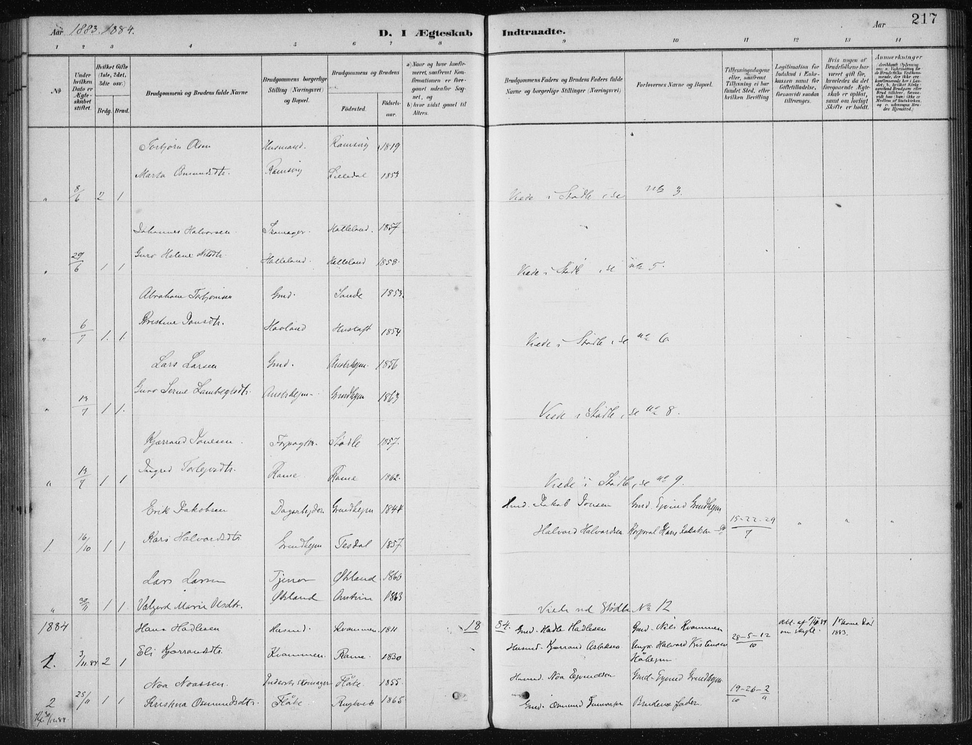 Etne sokneprestembete, AV/SAB-A-75001/H/Haa: Parish register (official) no. D  1, 1879-1919, p. 217