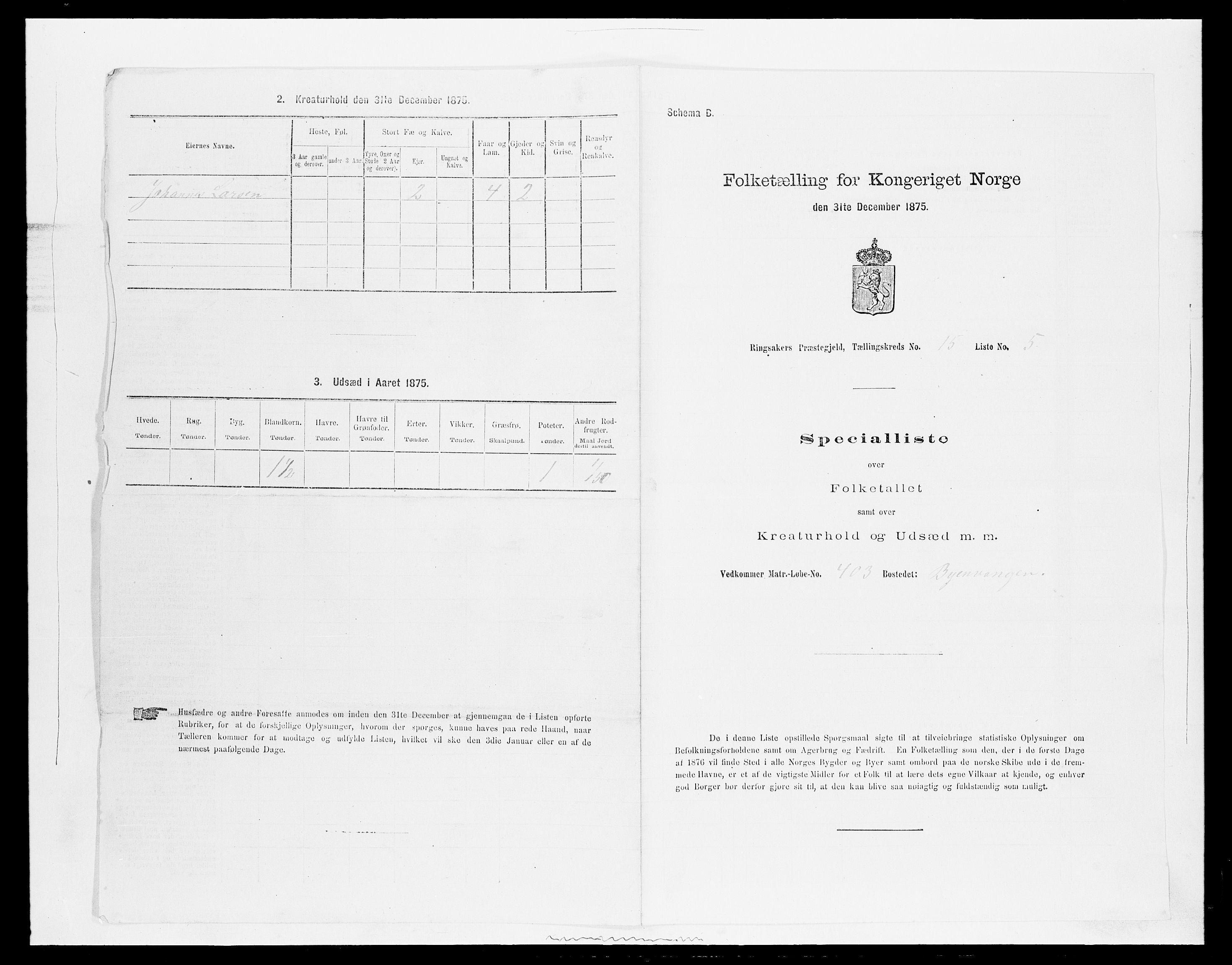 SAH, 1875 census for 0412P Ringsaker, 1875, p. 3040