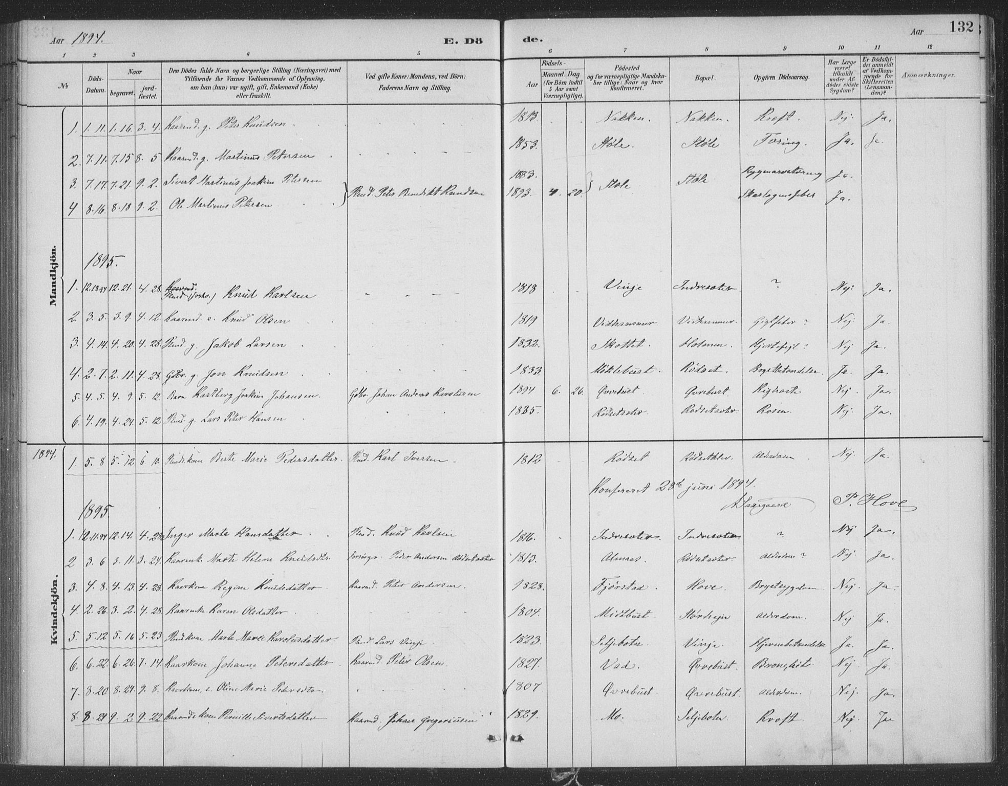 Ministerialprotokoller, klokkerbøker og fødselsregistre - Møre og Romsdal, SAT/A-1454/521/L0299: Parish register (official) no. 521A01, 1882-1907, p. 132