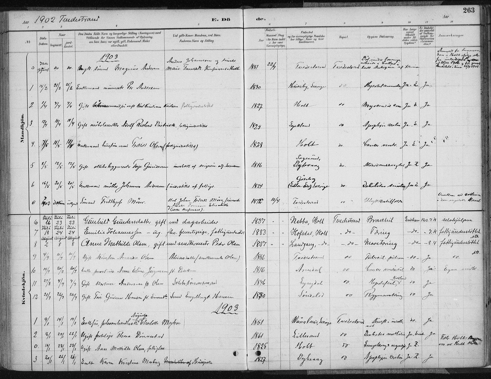 Tvedestrand sokneprestkontor, SAK/1111-0042/F/Fa/L0001: Parish register (official) no. A 1, 1885-1916, p. 263