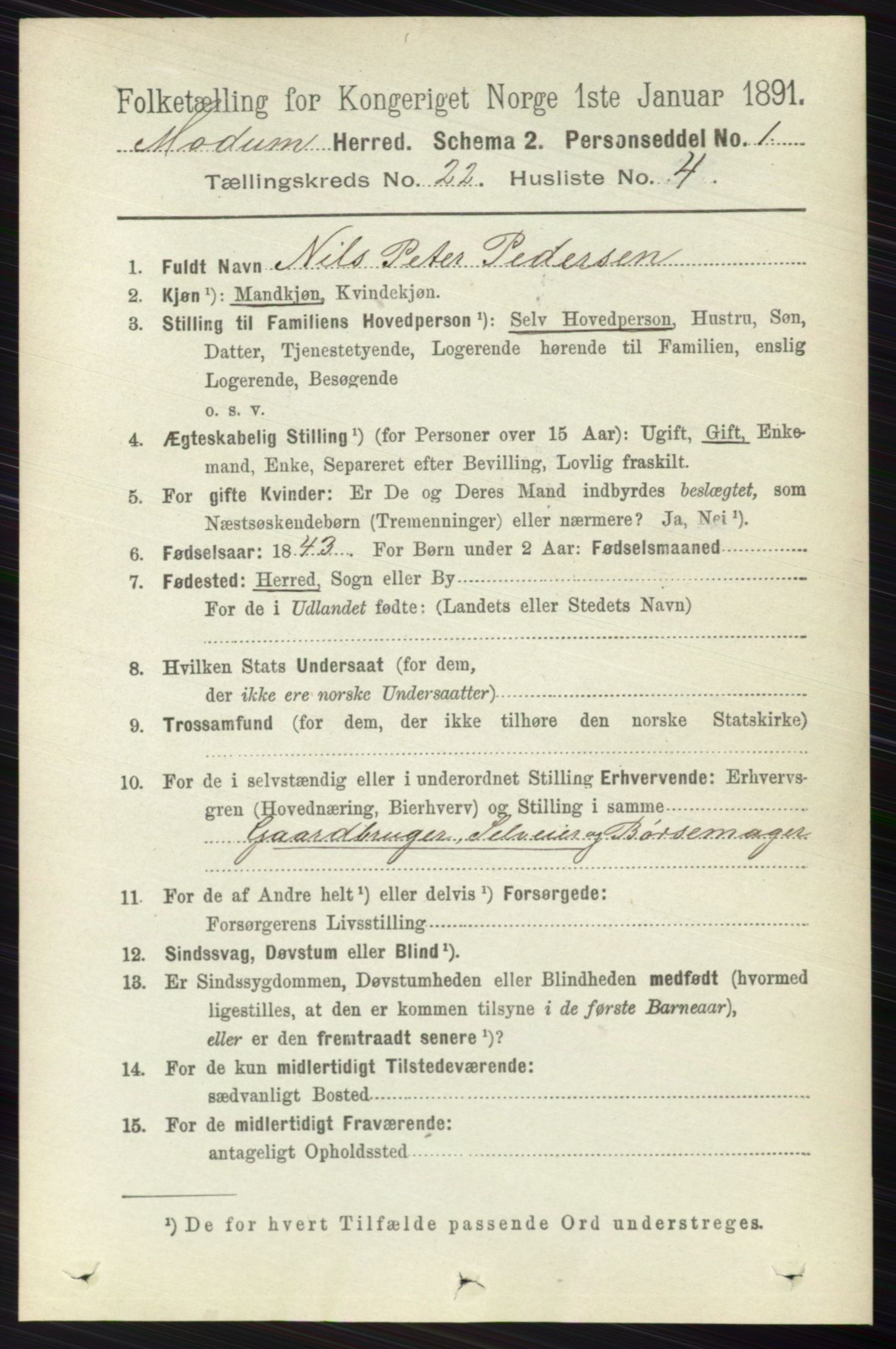 RA, 1891 census for 0623 Modum, 1891, p. 8406