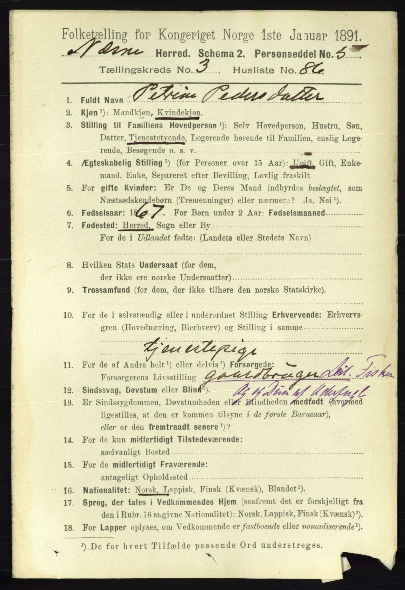 RA, 1891 census for 1828 Nesna, 1891, p. 2077