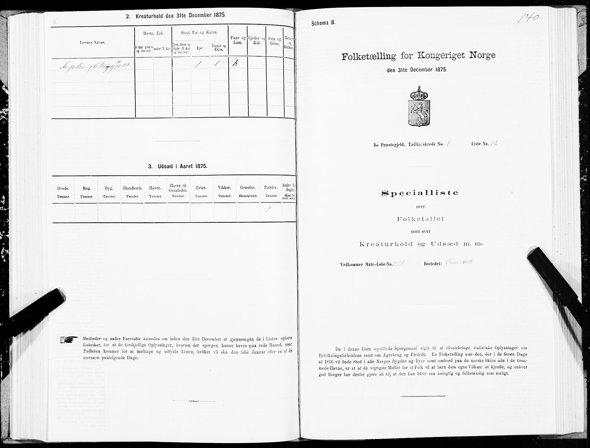 SAT, 1875 census for 1867P Bø, 1875, p. 1140