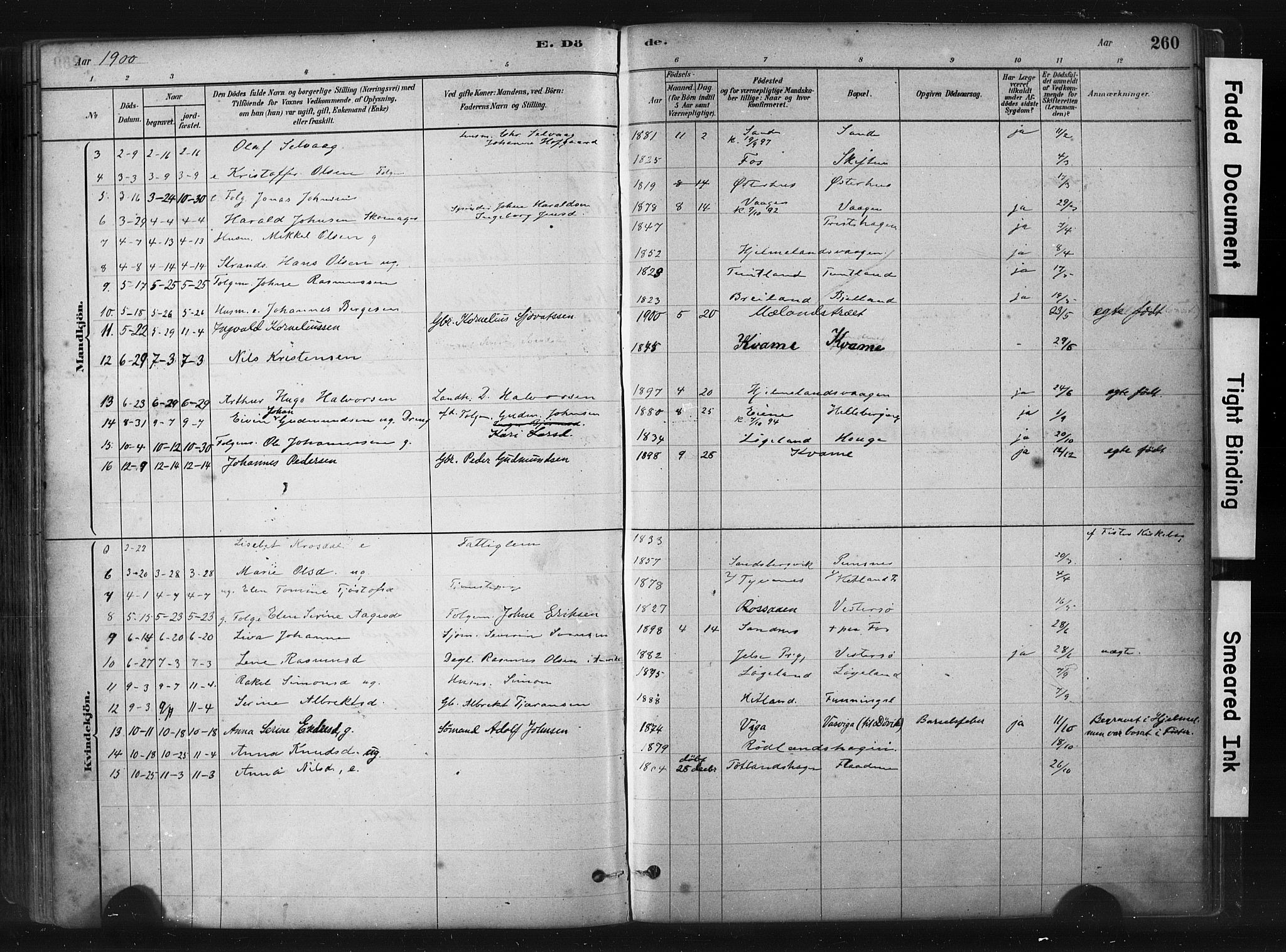 Hjelmeland sokneprestkontor, AV/SAST-A-101843/01/IV/L0014: Parish register (official) no. A 14, 1879-1900, p. 260