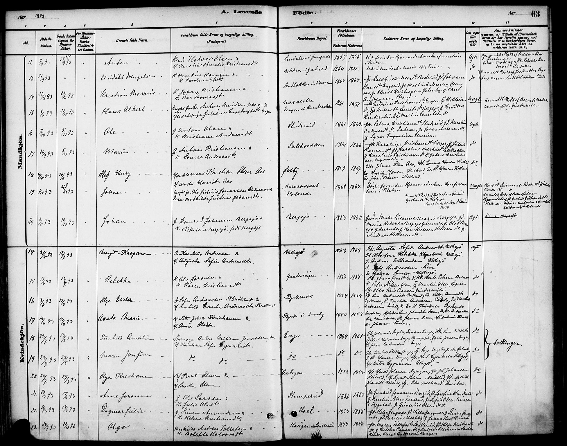 Høland prestekontor Kirkebøker, SAO/A-10346a/F/Fb/L0001: Parish register (official) no. II 1, 1880-1897, p. 63