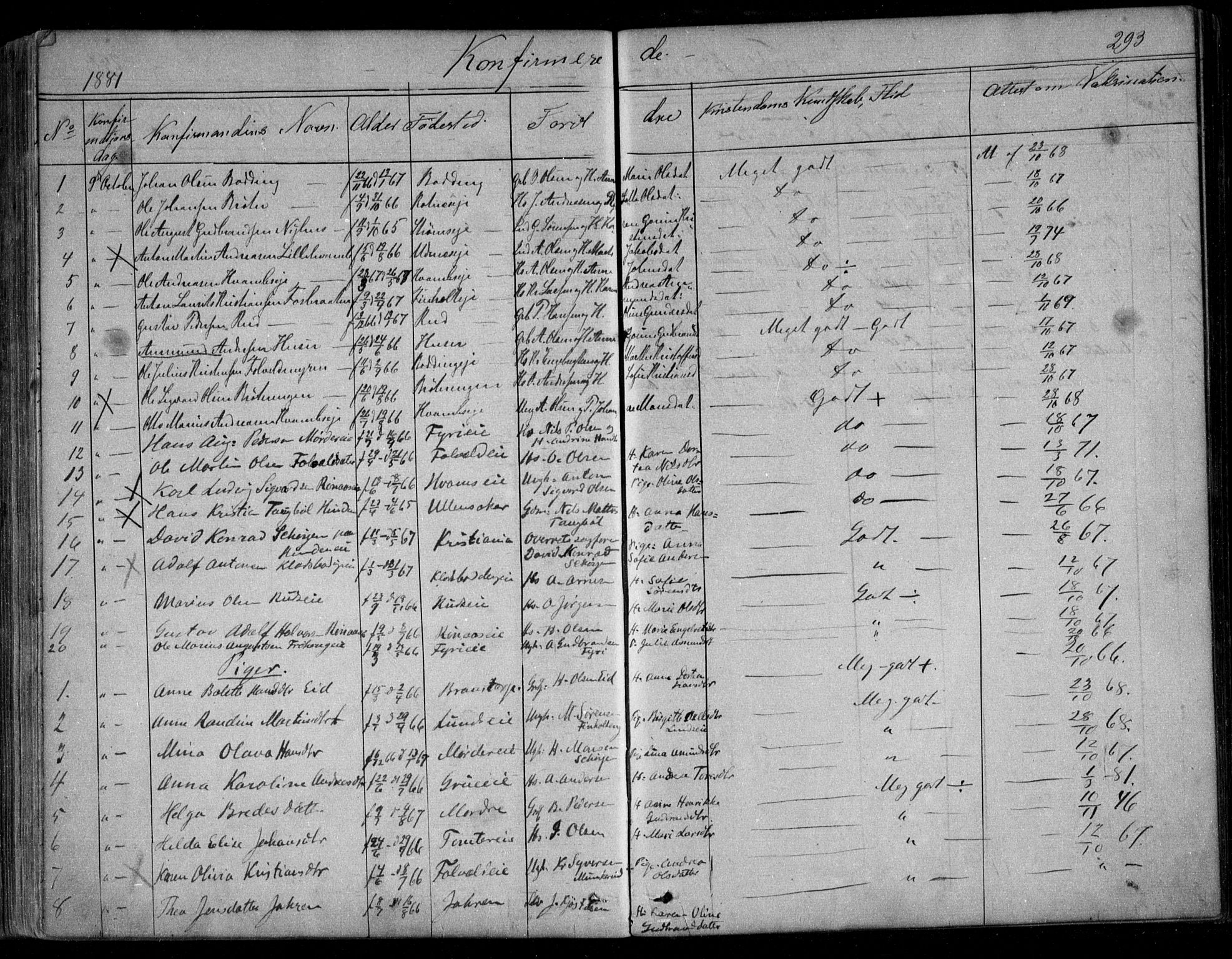 Nes prestekontor Kirkebøker, AV/SAO-A-10410/F/Fc/L0001: Parish register (official) no. III 1, 1859-1882, p. 293