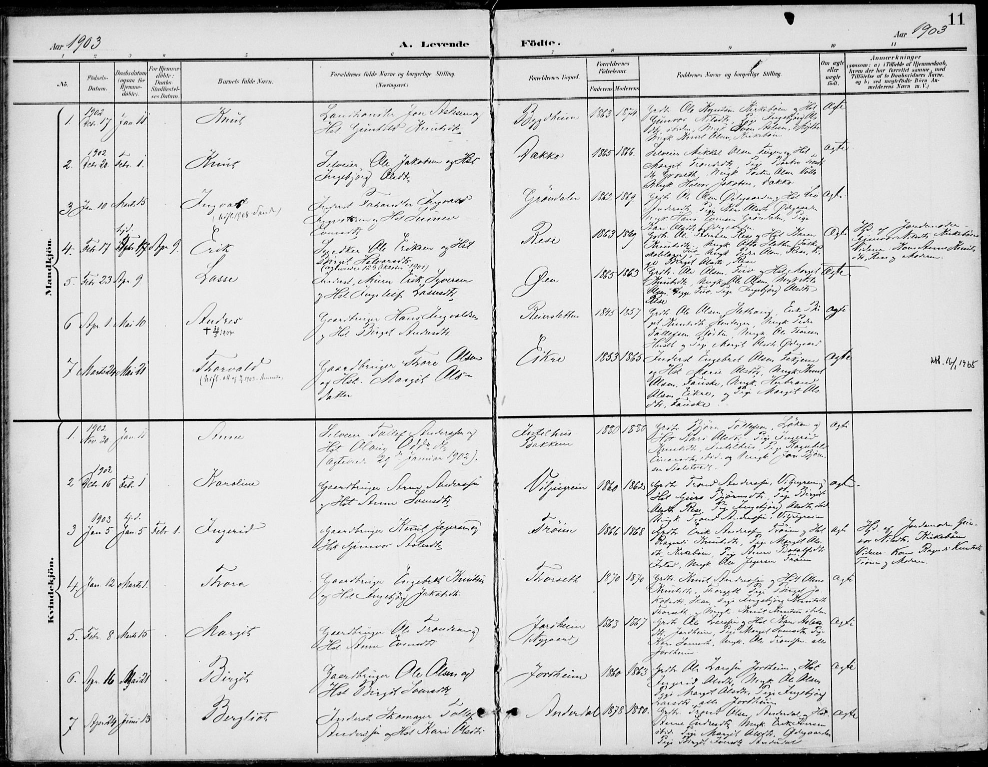 Gol kirkebøker, AV/SAKO-A-226/F/Fb/L0002: Parish register (official) no. II 2, 1900-1921, p. 11