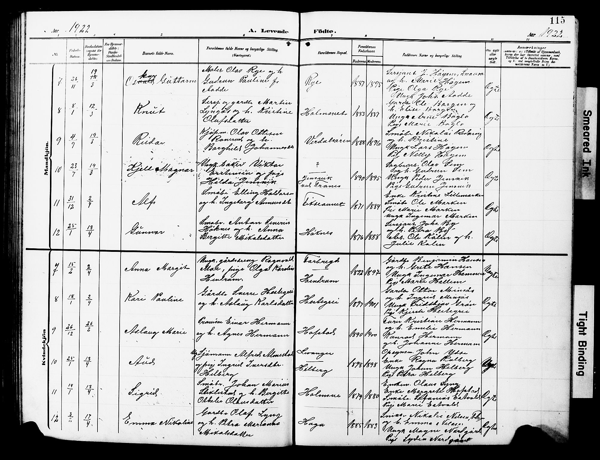 Ministerialprotokoller, klokkerbøker og fødselsregistre - Nord-Trøndelag, AV/SAT-A-1458/723/L0258: Parish register (copy) no. 723C06, 1908-1927, p. 115