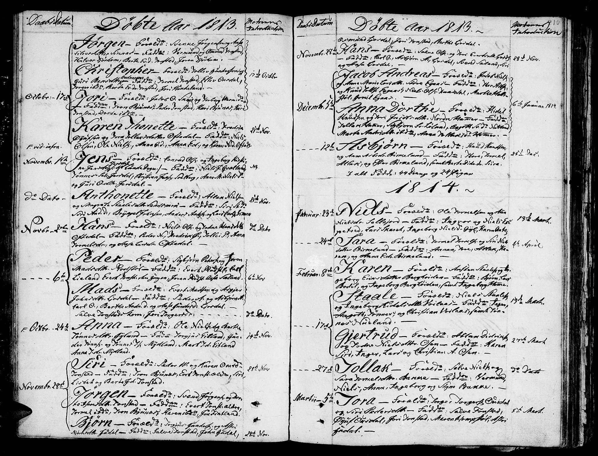 Bakke sokneprestkontor, SAK/1111-0002/F/Fa/Faa/L0002: Parish register (official) no. A 2, 1780-1816, p. 210