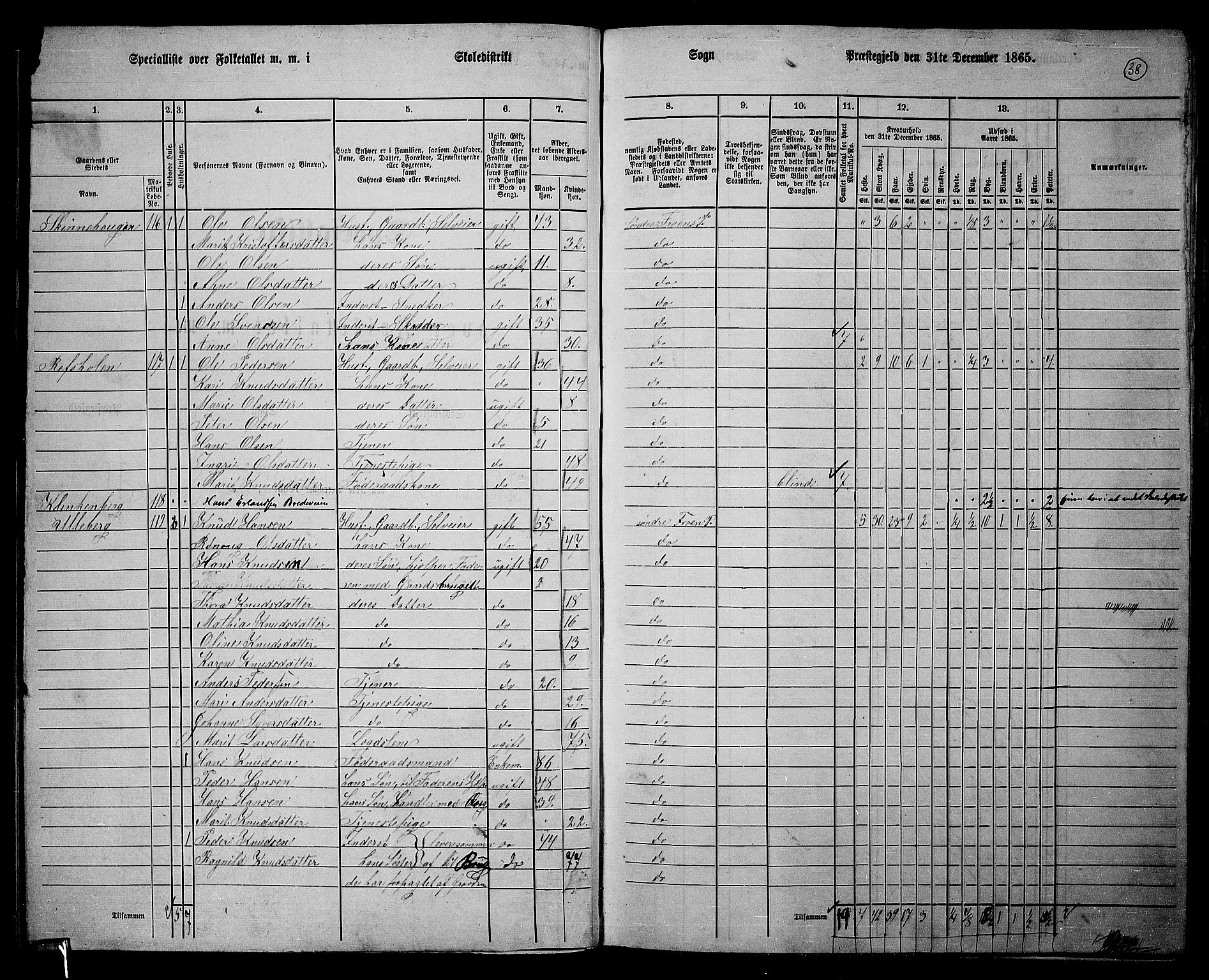 RA, 1865 census for Sør-Fron, 1865, p. 33