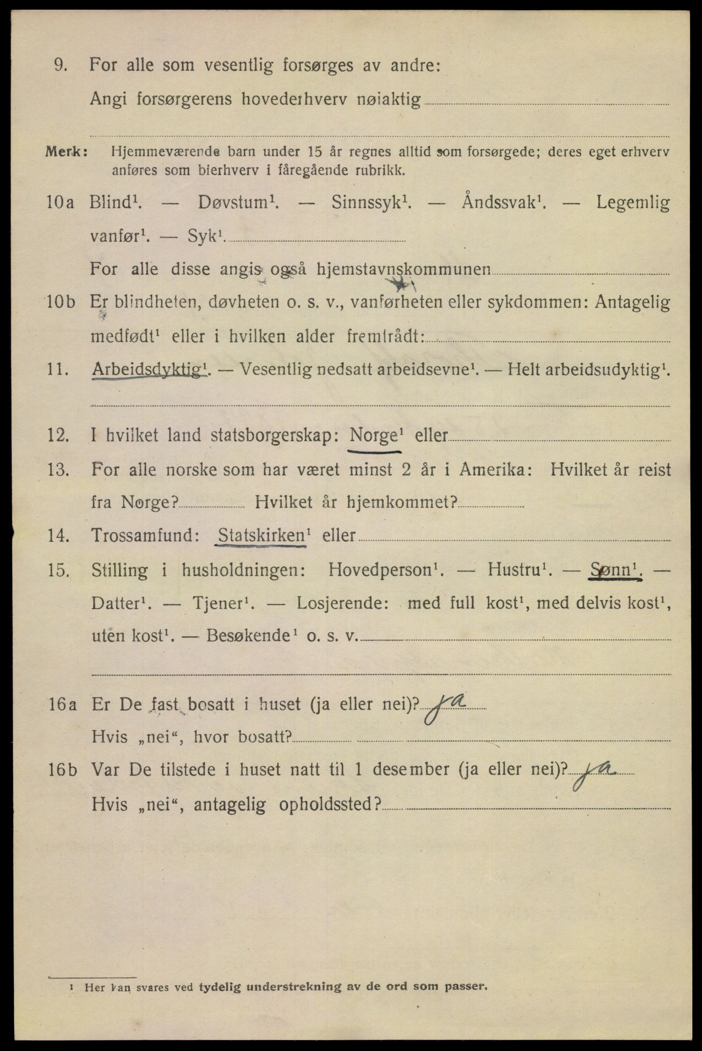 SAKO, 1920 census for Skien, 1920, p. 16859