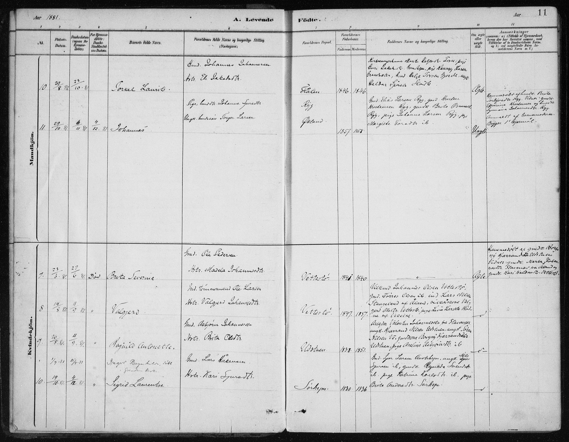 Etne sokneprestembete, AV/SAB-A-75001/H/Haa: Parish register (official) no. C  1, 1879-1919, p. 11