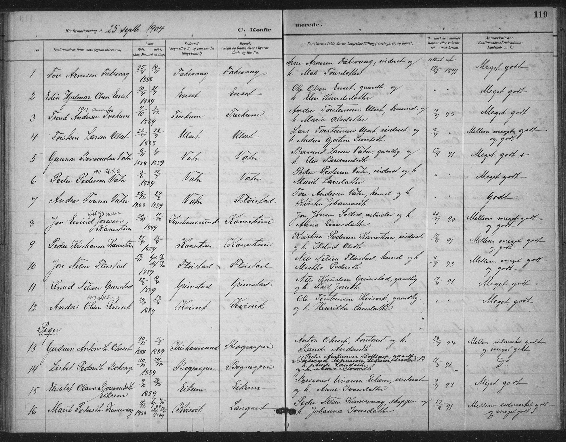 Ministerialprotokoller, klokkerbøker og fødselsregistre - Møre og Romsdal, AV/SAT-A-1454/587/L1000: Parish register (official) no. 587A02, 1887-1910, p. 119