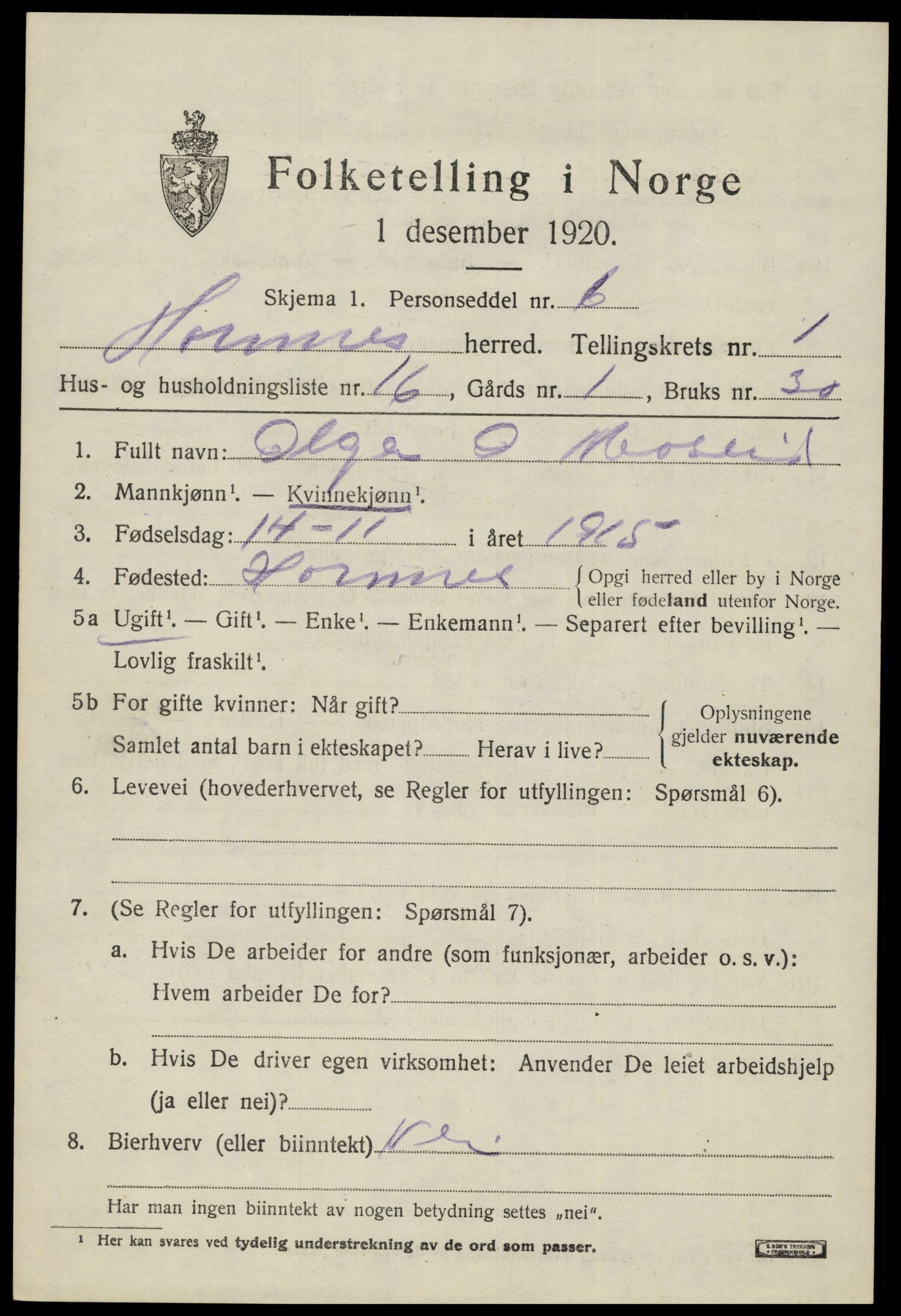 SAK, 1920 census for Hornnes, 1920, p. 697