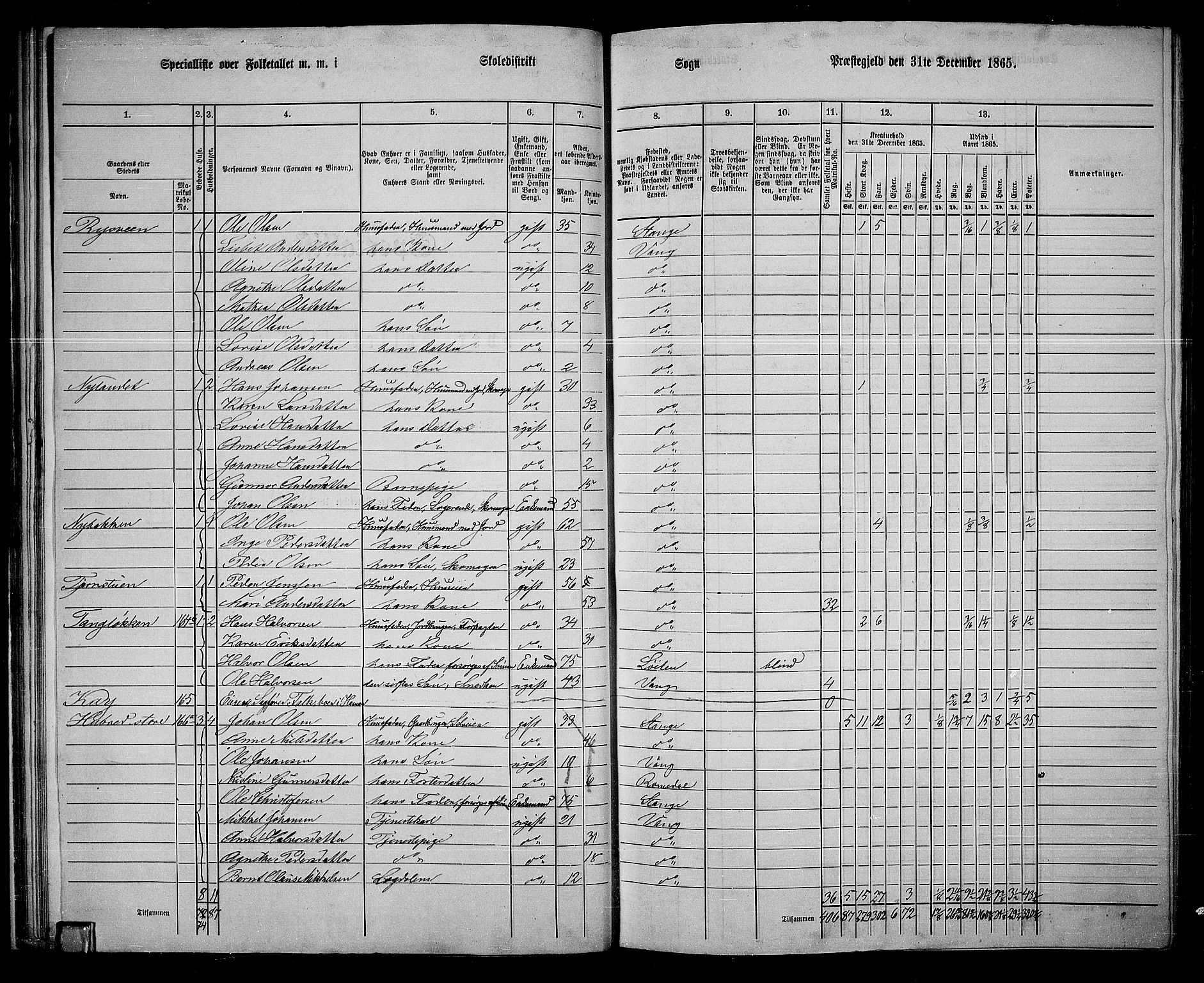 RA, 1865 census for Vang/Vang og Furnes, 1865, p. 191