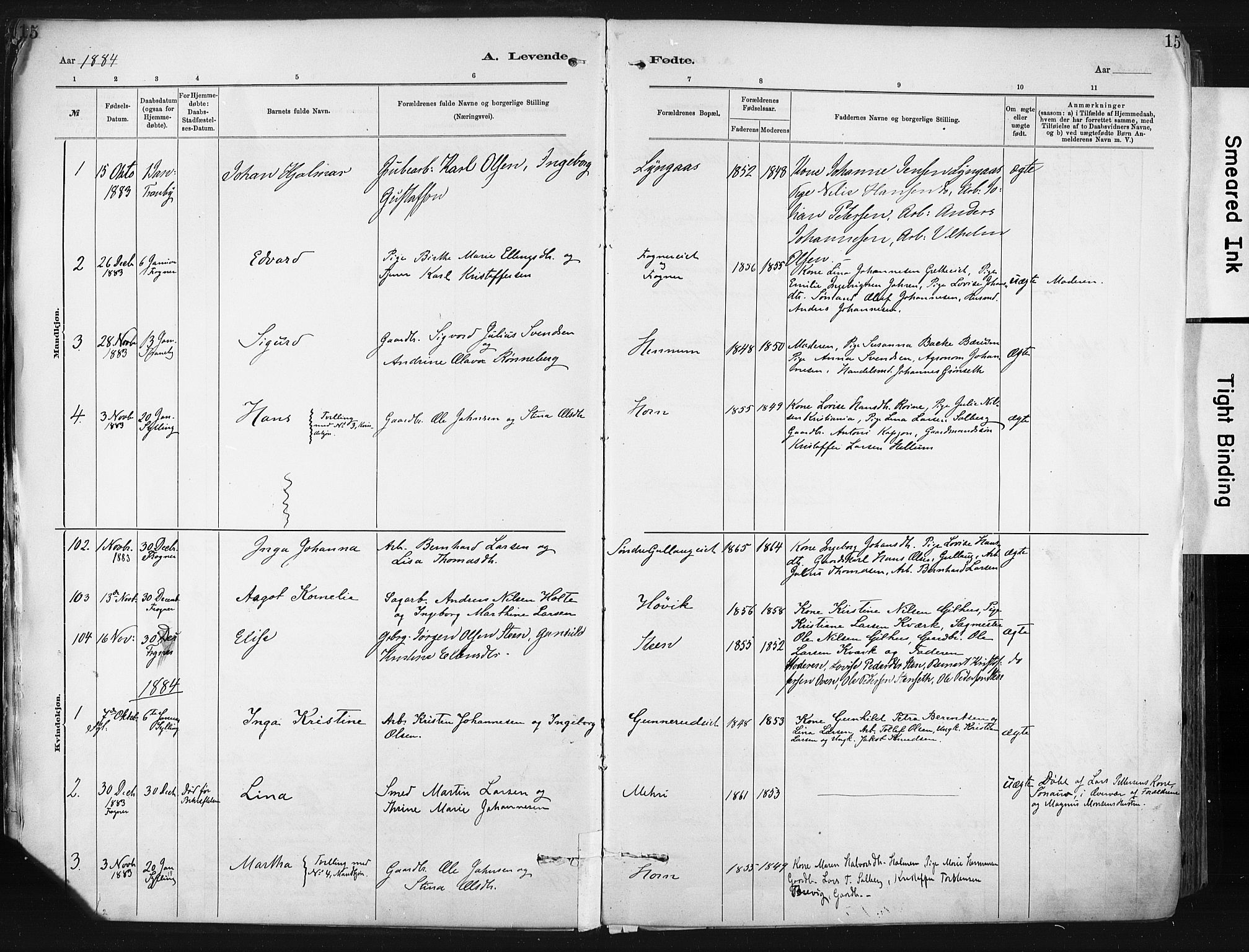 Lier kirkebøker, SAKO/A-230/F/Fa/L0015: Parish register (official) no. I 15, 1883-1894, p. 15