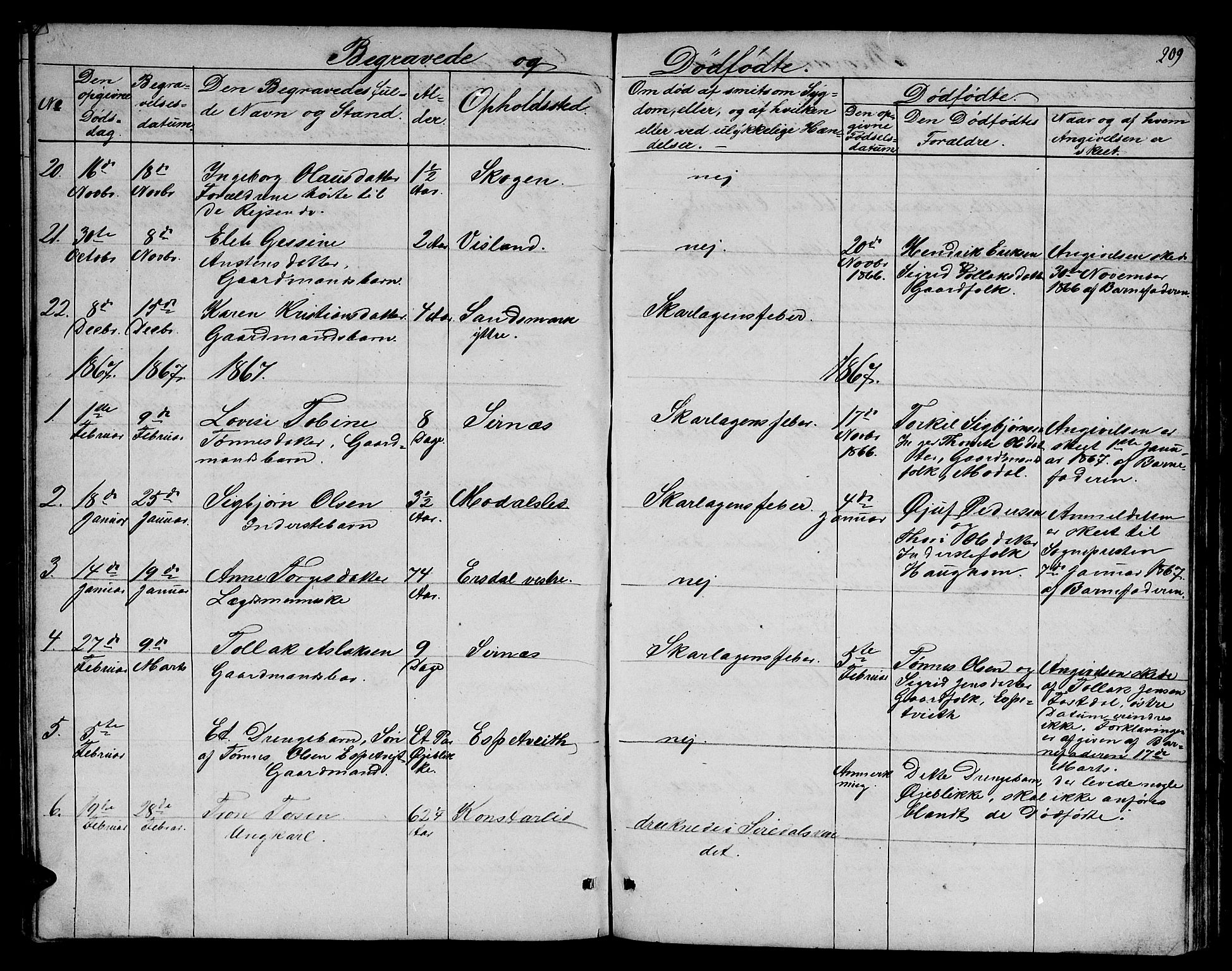 Bakke sokneprestkontor, SAK/1111-0002/F/Fb/Fba/L0001: Parish register (copy) no. B 1, 1849-1879, p. 209