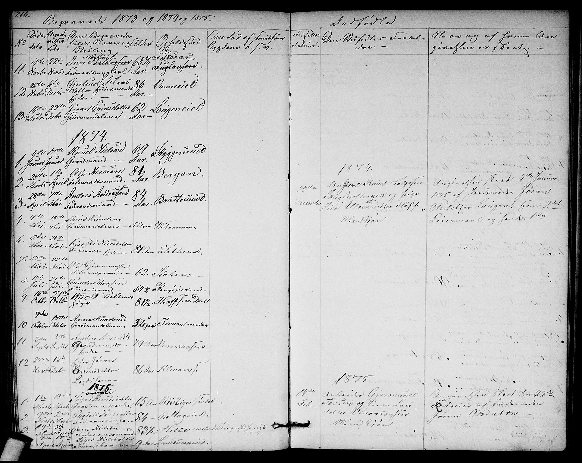 Rollag kirkebøker, AV/SAKO-A-240/G/Ga/L0003: Parish register (copy) no. I 3, 1856-1887, p. 216