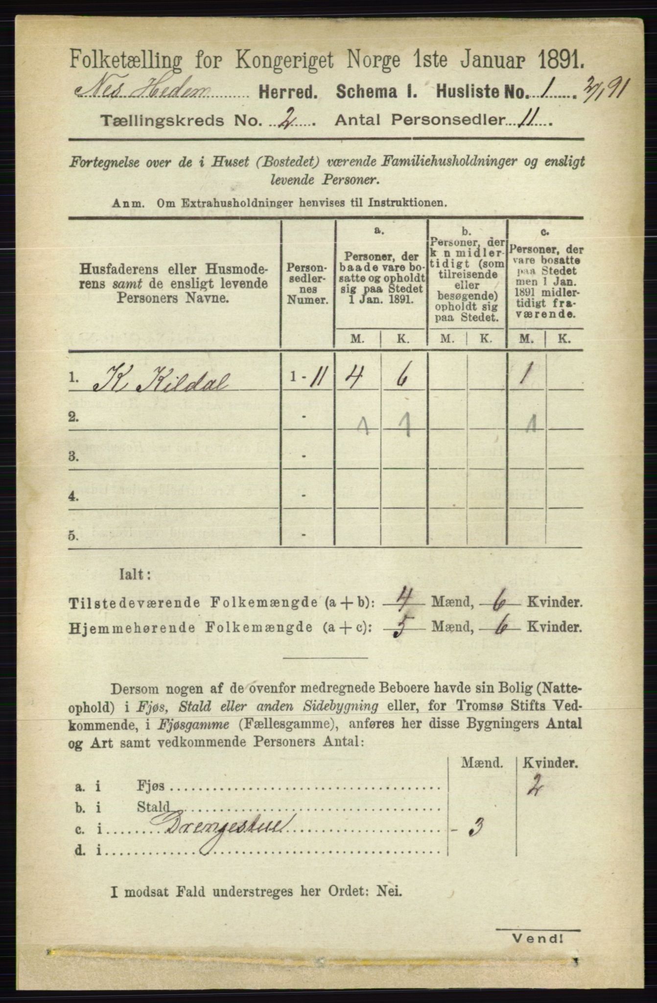 RA, 1891 census for 0411 Nes, 1891, p. 1004