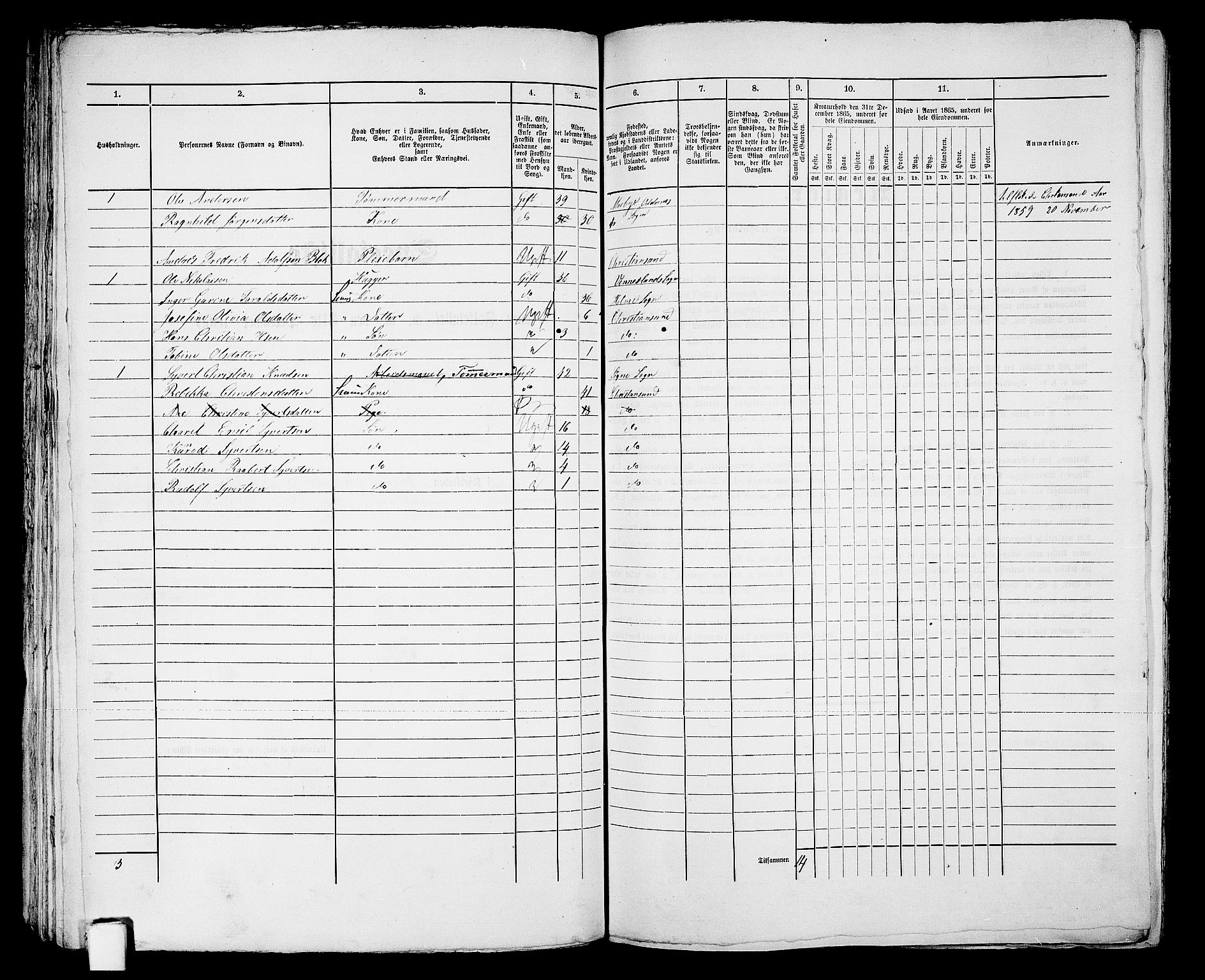 RA, 1865 census for Kristiansand, 1865, p. 1217