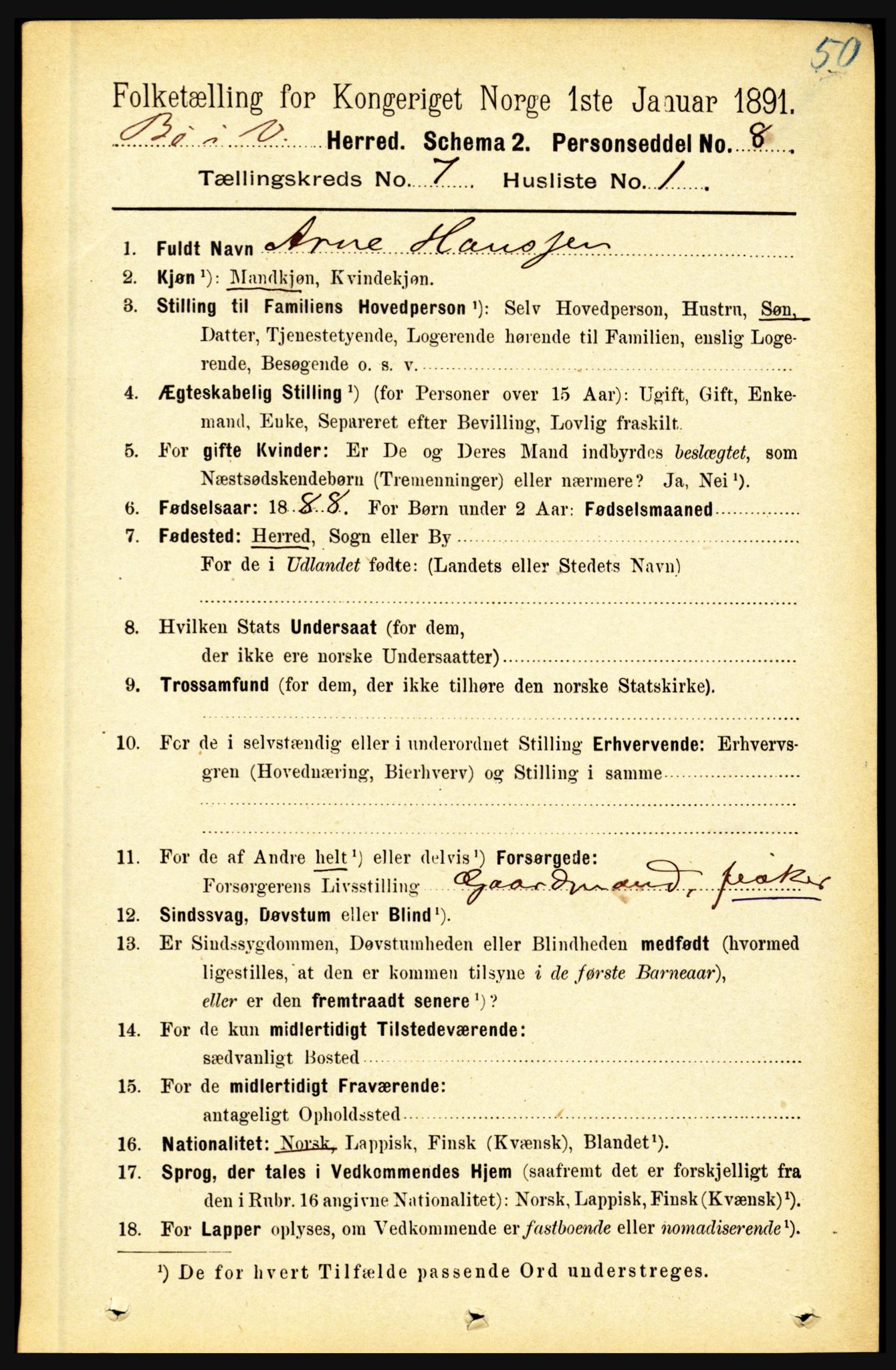 RA, 1891 census for 1867 Bø, 1891, p. 2494