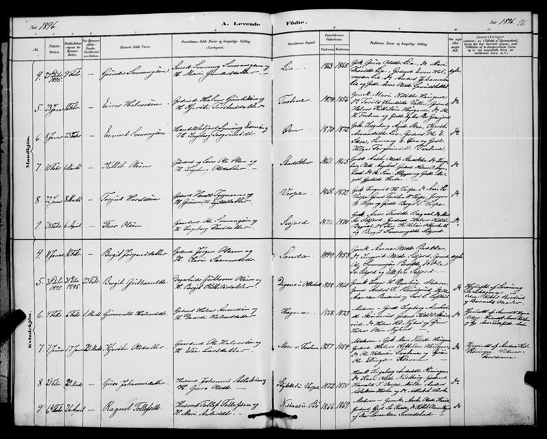 Bø kirkebøker, SAKO/A-257/G/Ga/L0005: Parish register (copy) no. 5, 1883-1897, p. 96