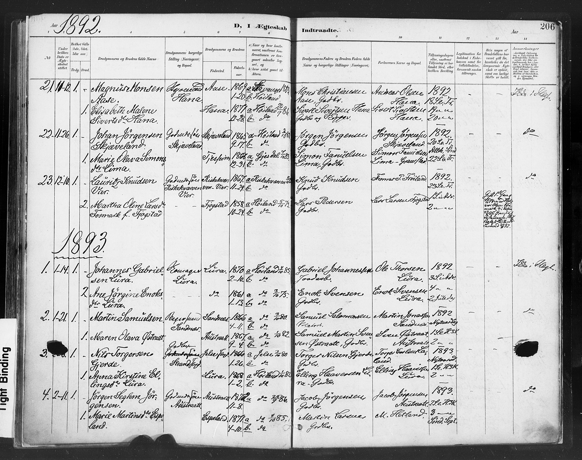 Høyland sokneprestkontor, SAST/A-101799/001/30BA/L0013: Parish register (official) no. A 13.1, 1889-1898, p. 206