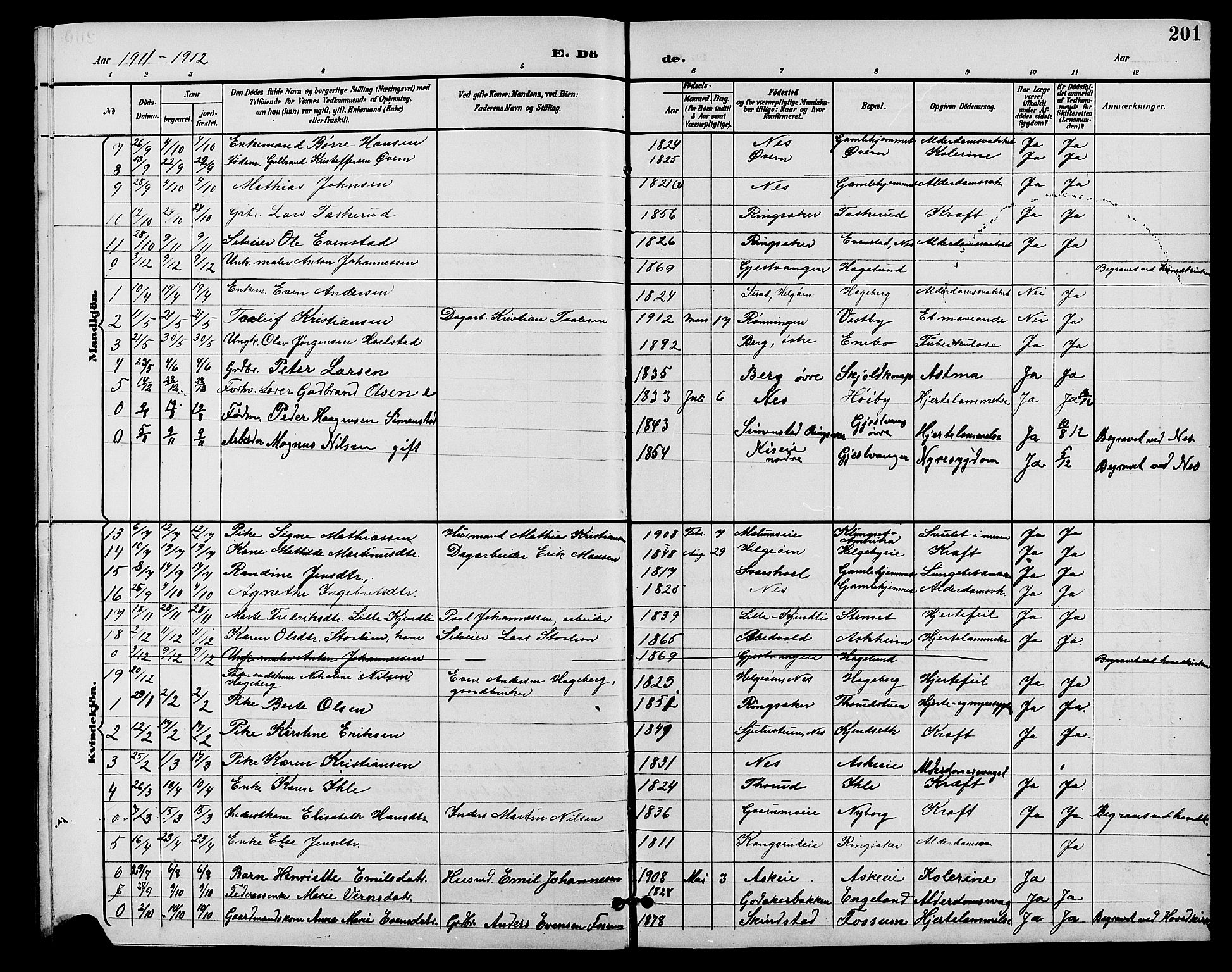 Nes prestekontor, Hedmark, AV/SAH-PREST-020/L/La/L0007: Parish register (copy) no. 7, 1892-1912, p. 201