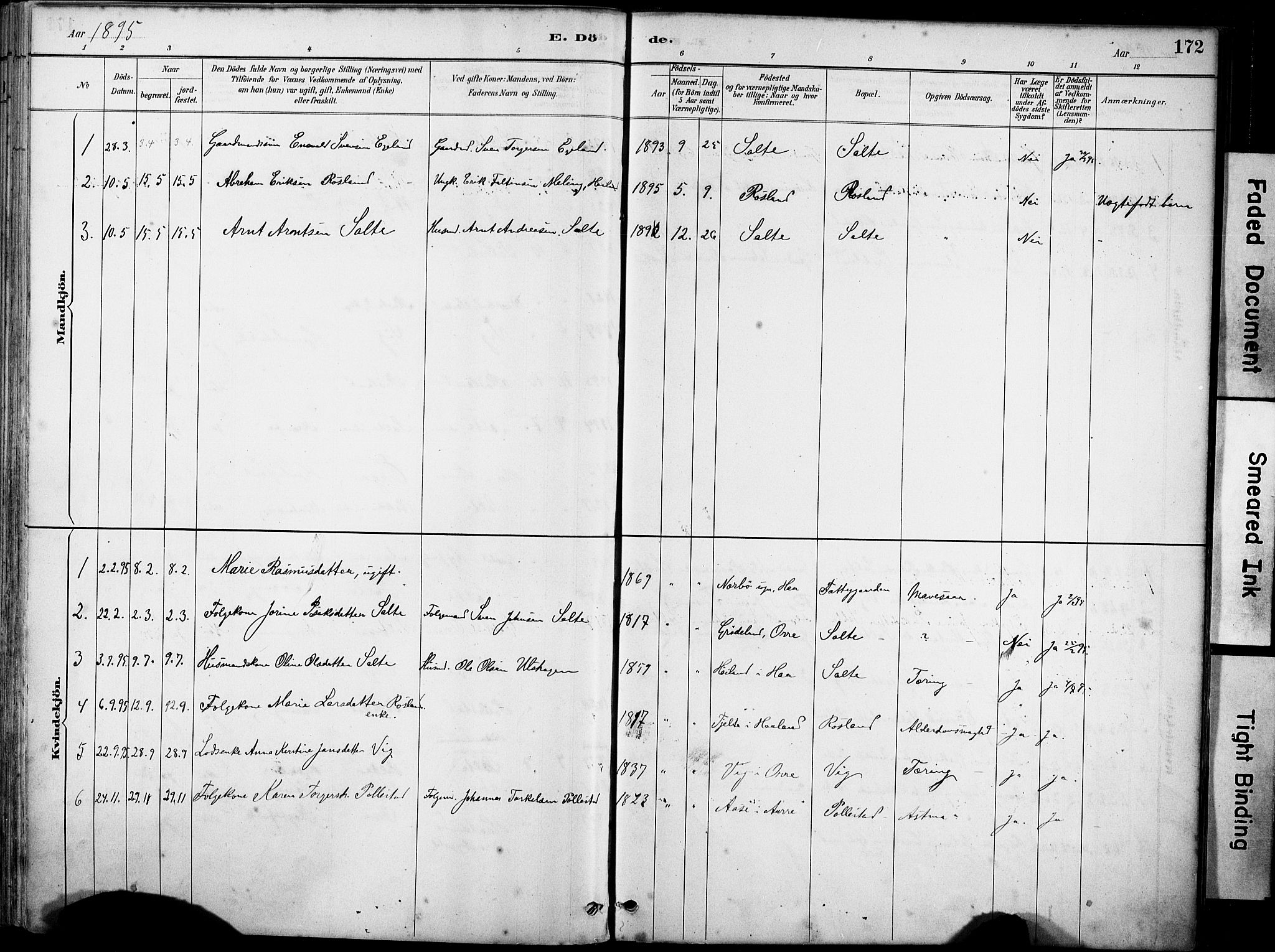 Klepp sokneprestkontor, SAST/A-101803/001/3/30BA/L0007: Parish register (official) no. A 8, 1886-1912, p. 172