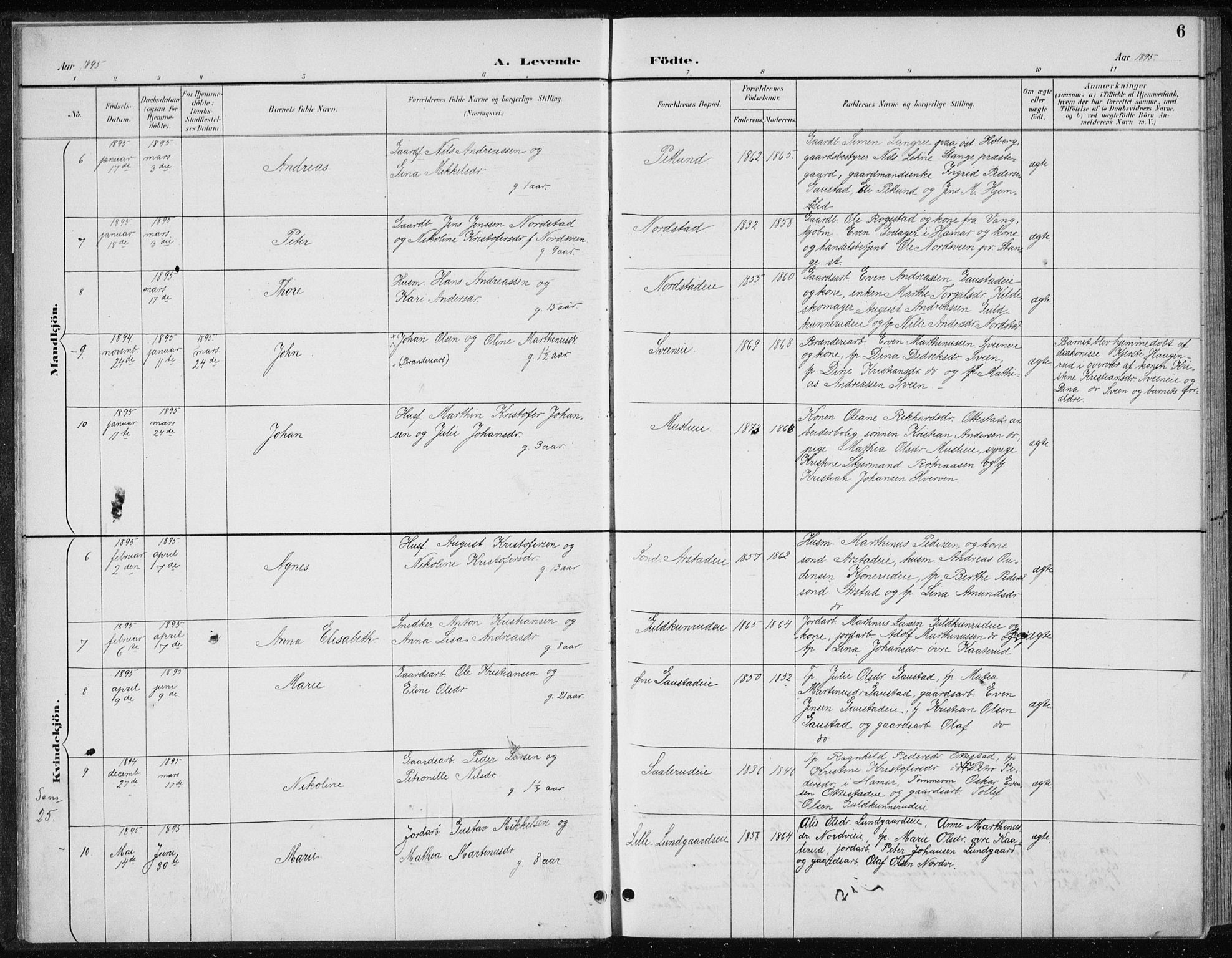 Stange prestekontor, AV/SAH-PREST-002/L/L0010: Parish register (copy) no. 10, 1894-1905, p. 6