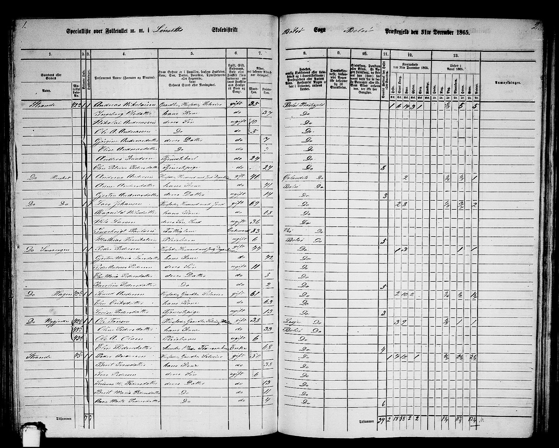 RA, 1865 census for Bolsøy, 1865, p. 49