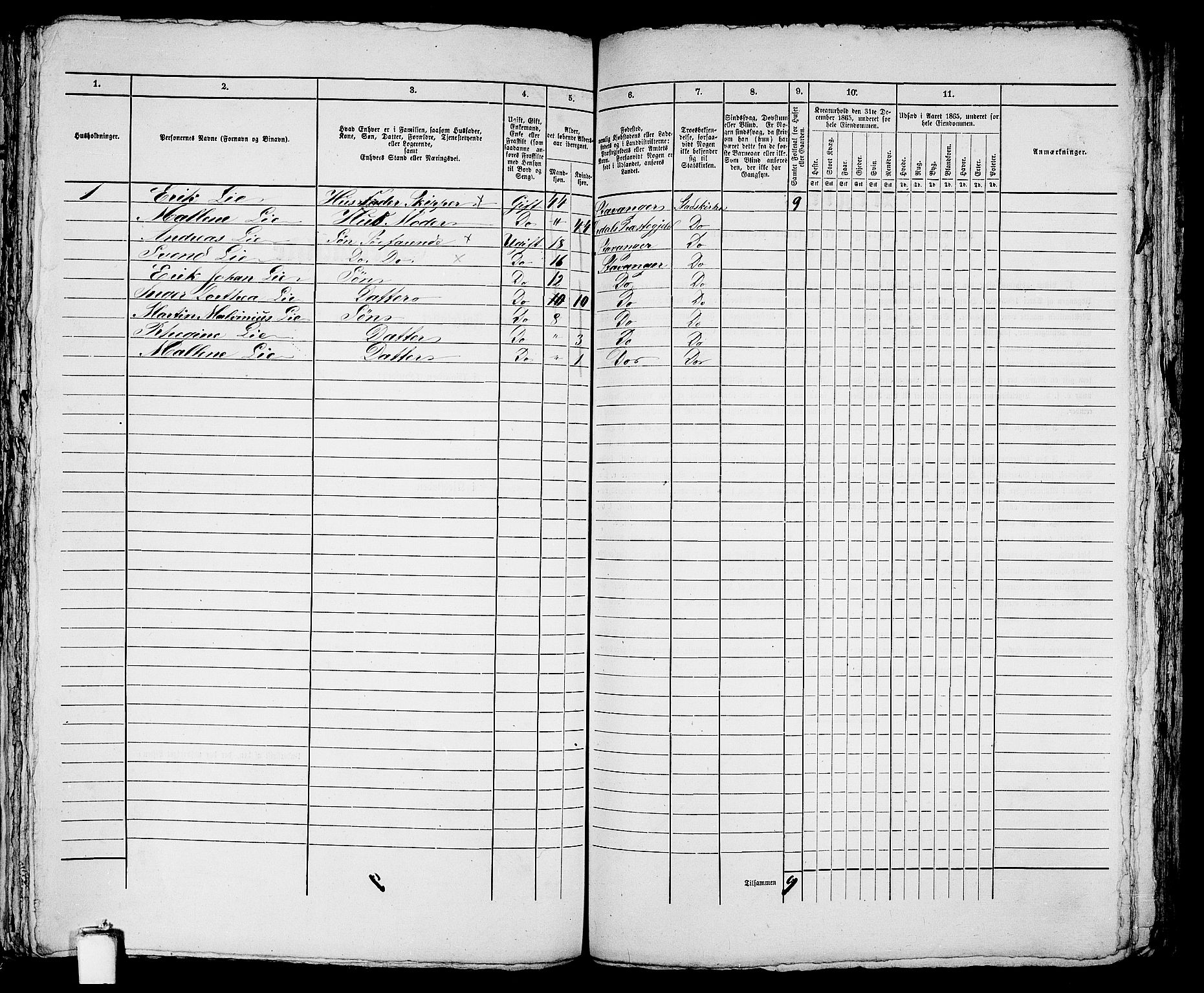 RA, 1865 census for Stavanger, 1865, p. 1317