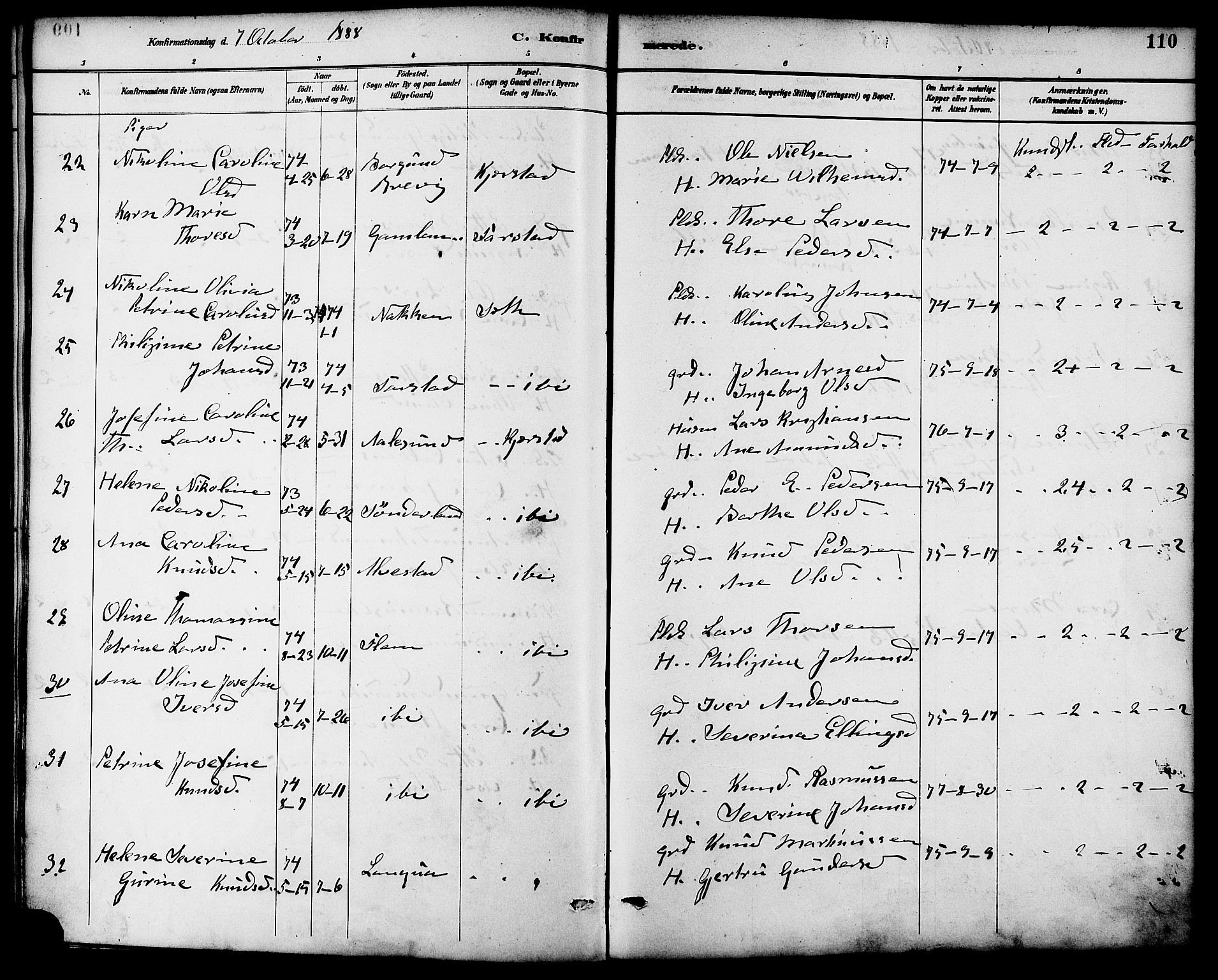 Ministerialprotokoller, klokkerbøker og fødselsregistre - Møre og Romsdal, AV/SAT-A-1454/536/L0501: Parish register (official) no. 536A10, 1884-1896, p. 110